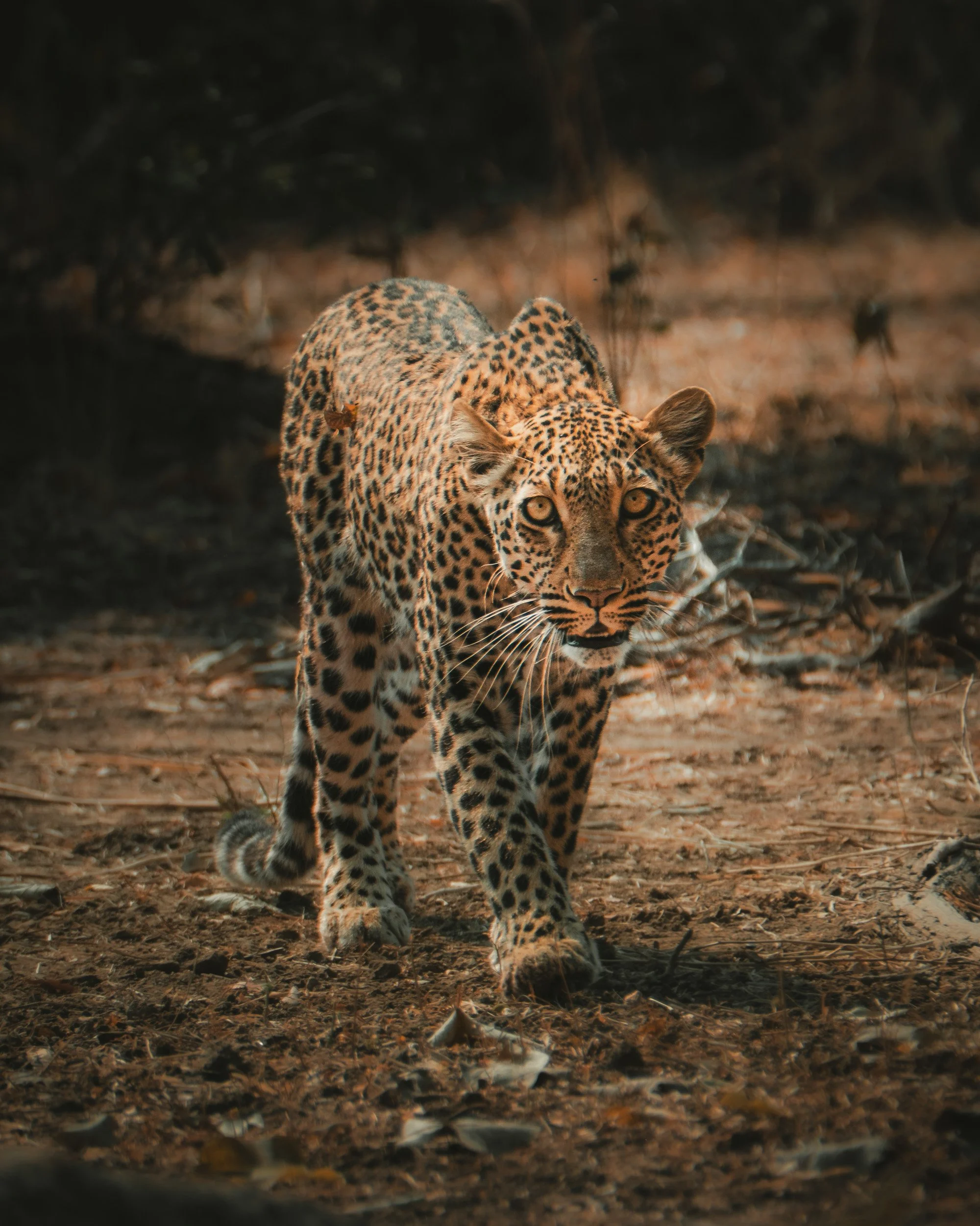 ZAMBIA_PHOTO_WORKSHOP (20 of 27).jpg
