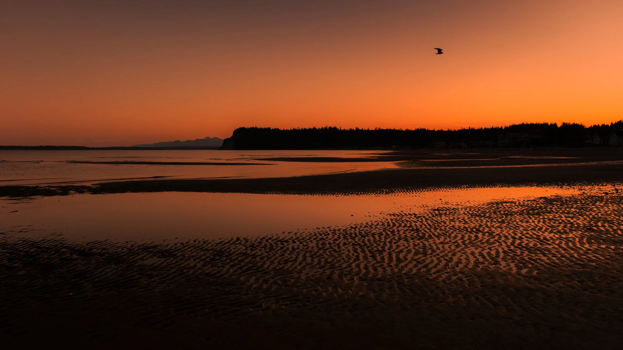 Whidbey full size 2 (2 of 10).jpg