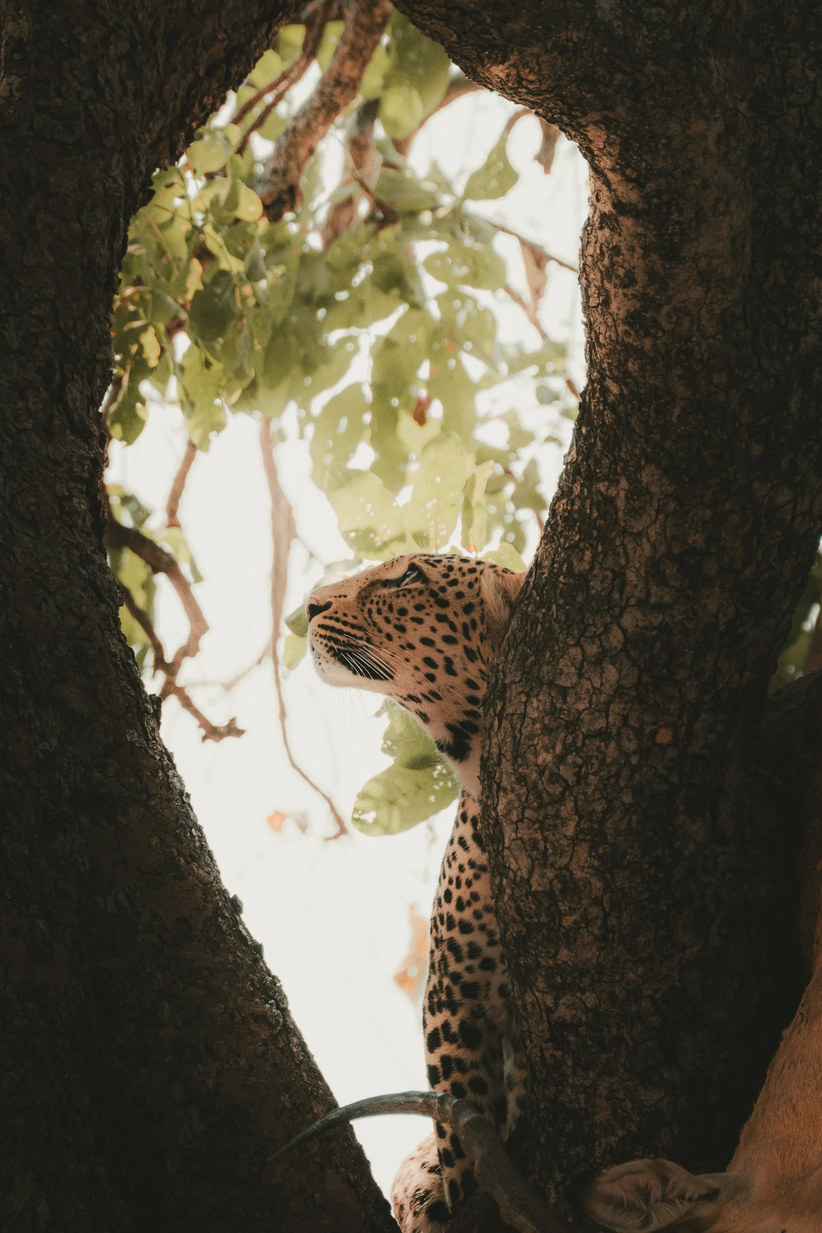 ZAMBIA_PHOTO_WORKSHOP (21 of 27).jpg