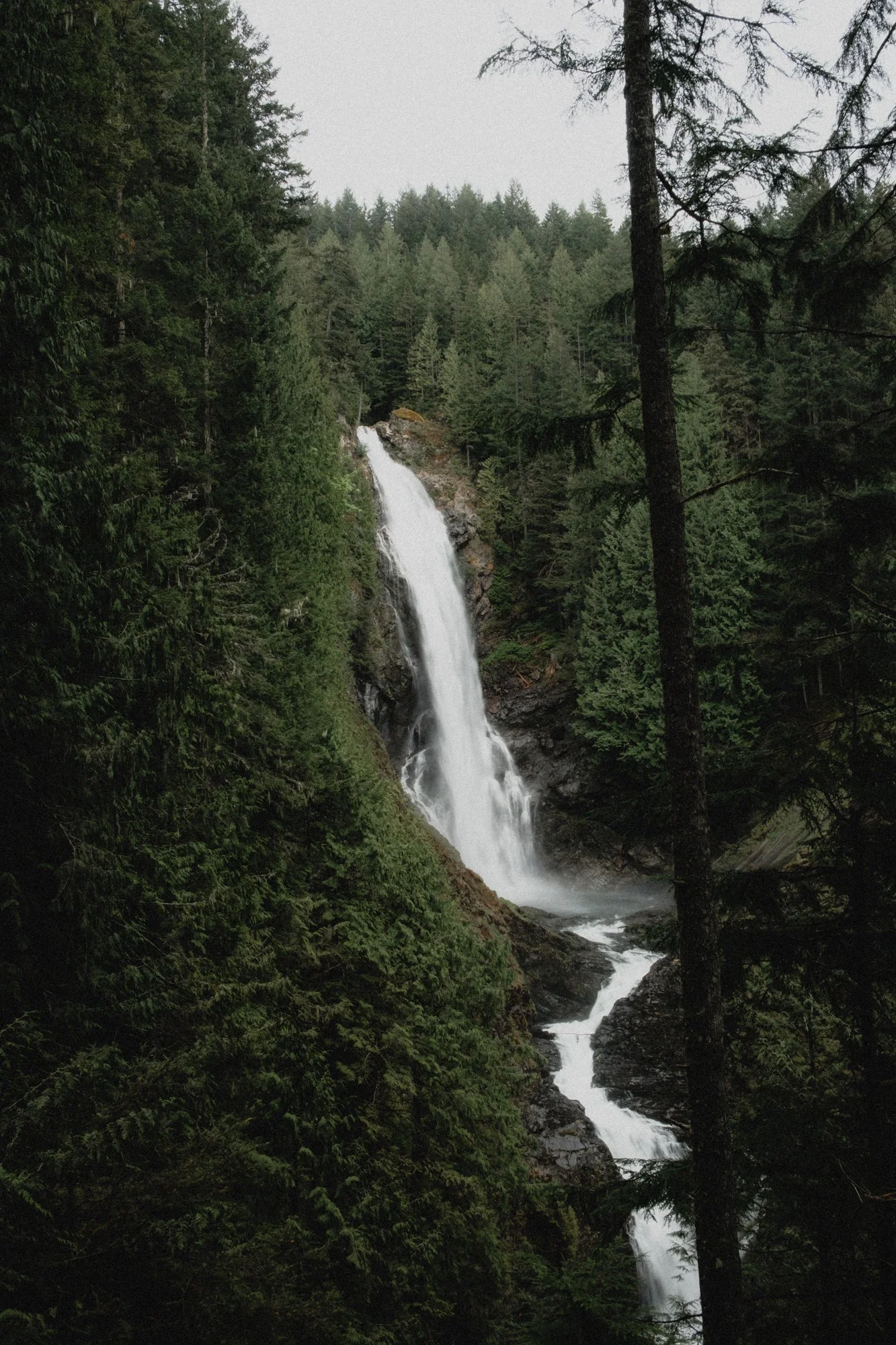Waterfall flowing over rocks surrounded by dense green trees in a forest.