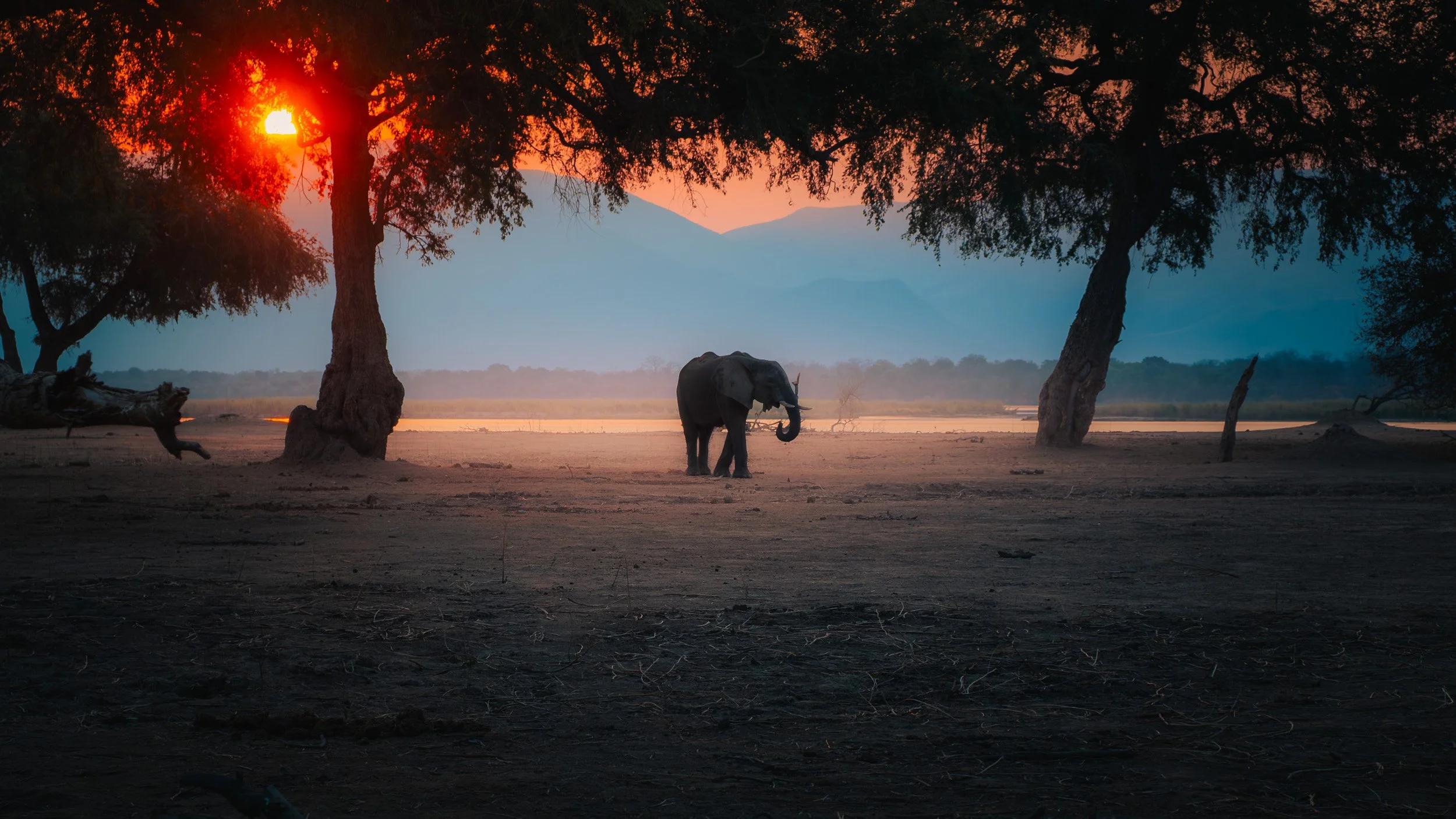 Mana_Pools_PHOTO_WORKSHOP (2 of 18).jpg