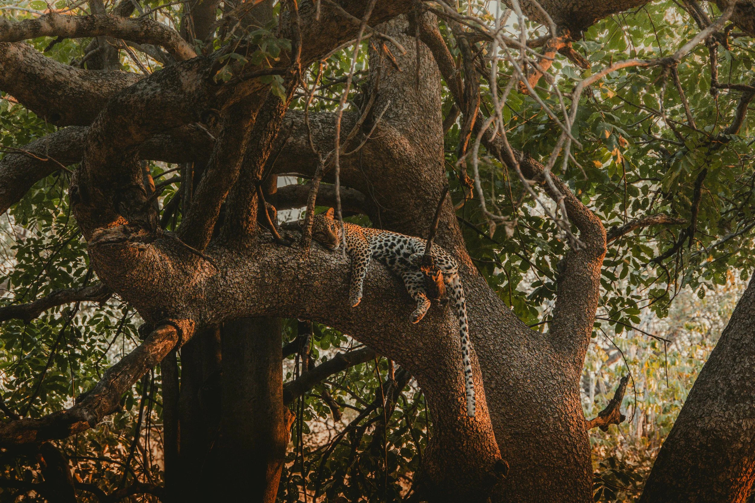 ZAMBIA_PHOTO_WORKSHOP_NEW (1 of 1).jpg