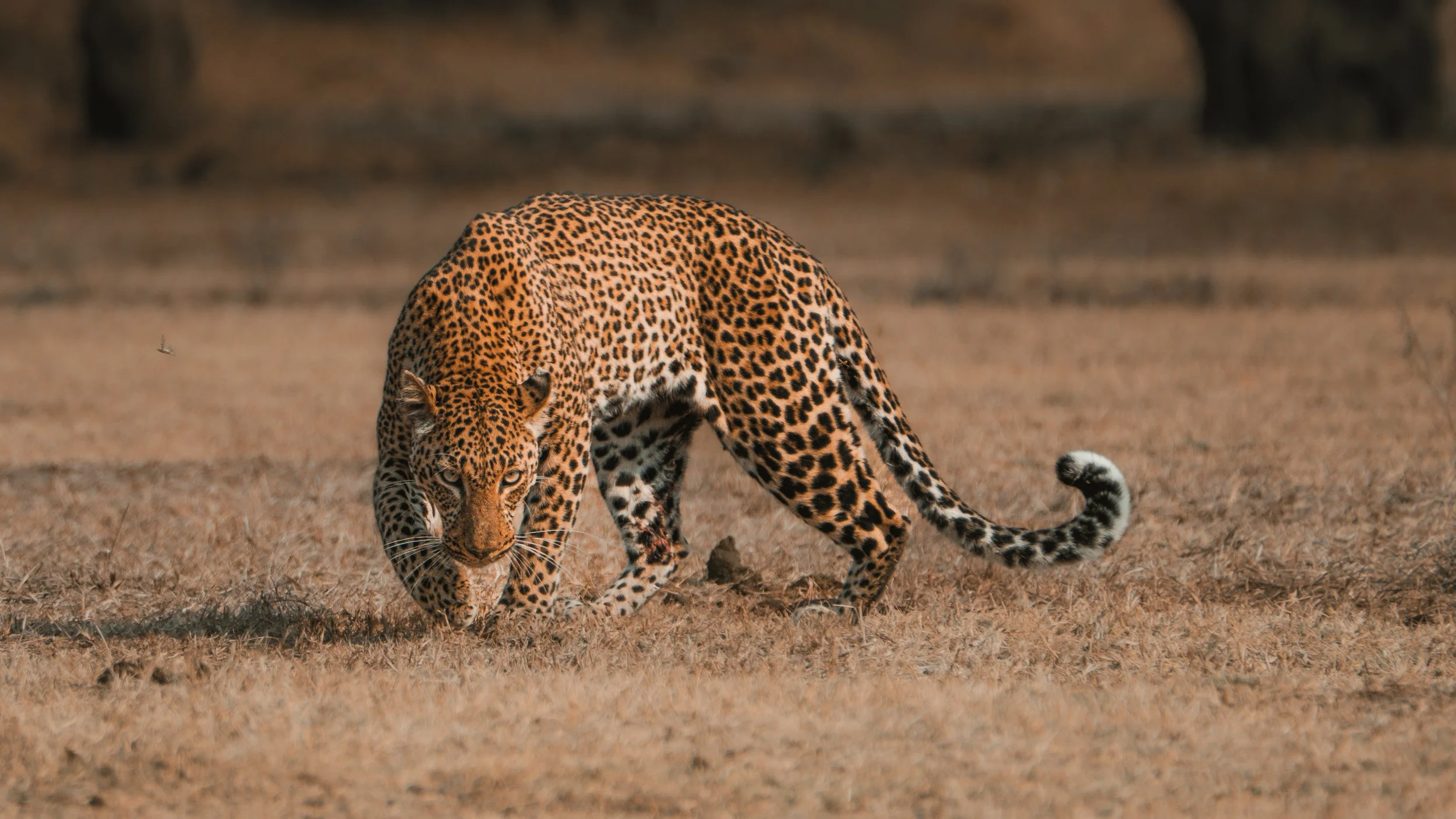 ZAMBIA_PHOTO_WORKSHOP (11 of 27).jpg