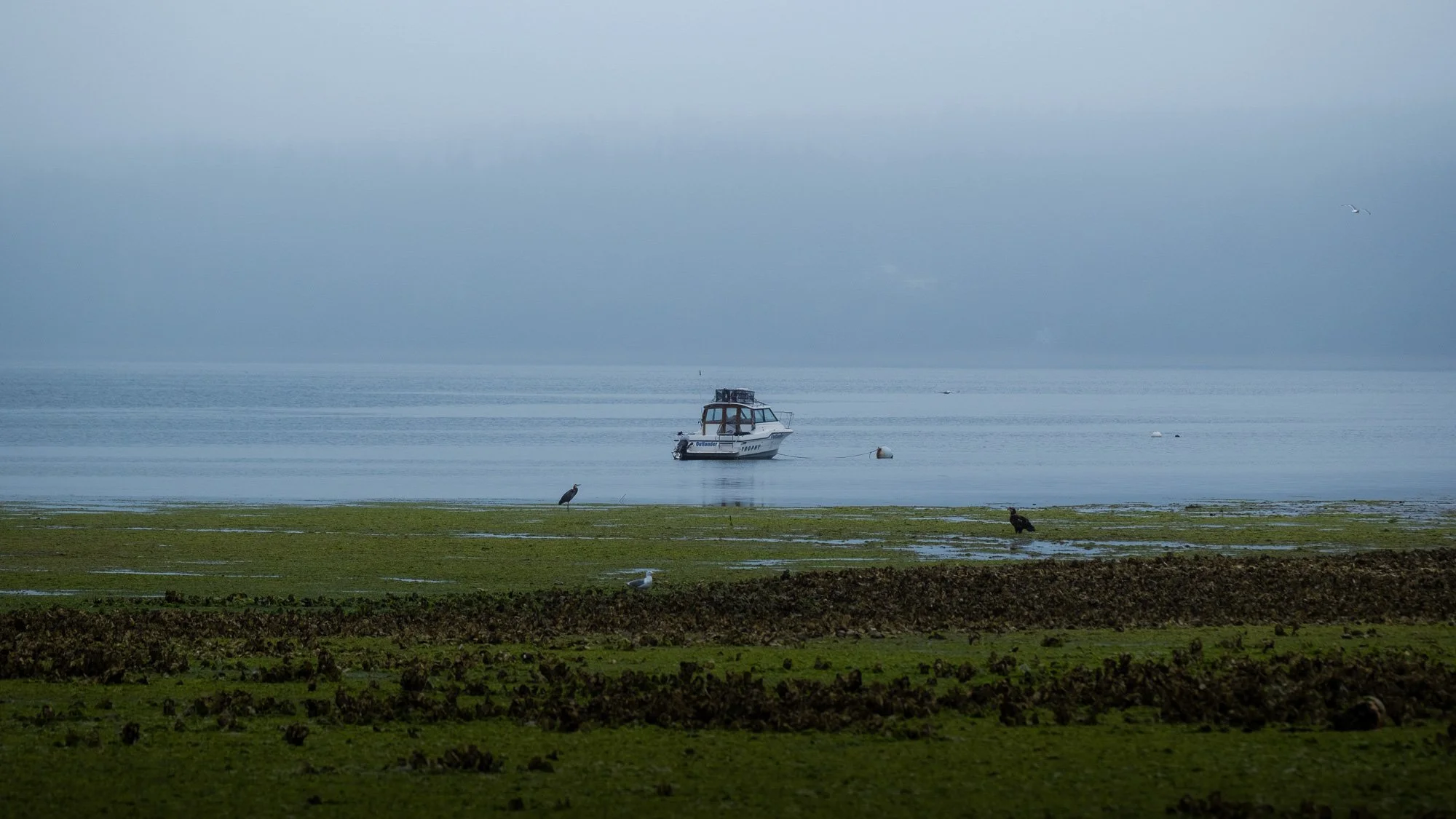 winter-bald-eagles-washington (31 of 44).jpg