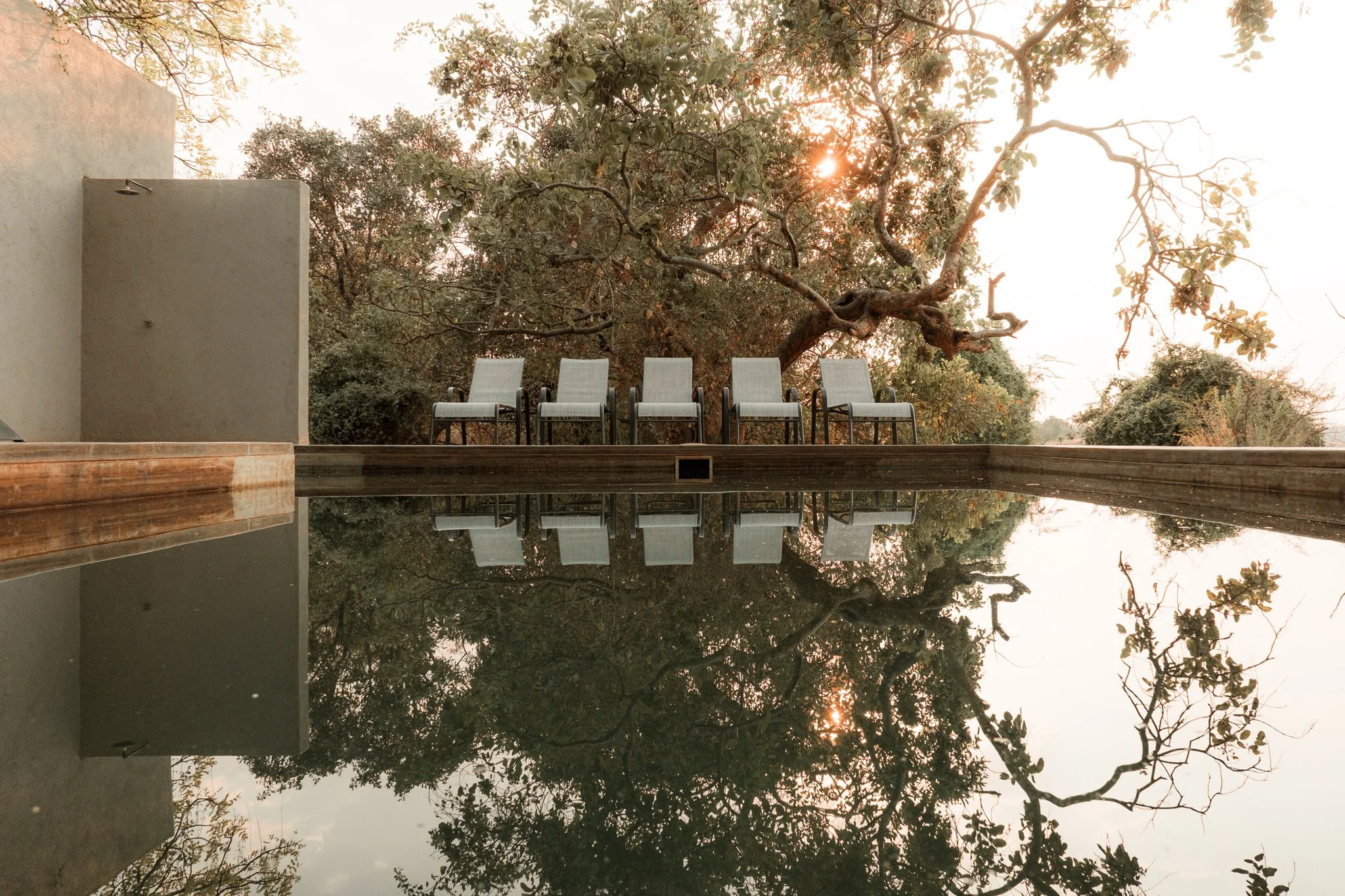 Six outdoor lounge chairs arranged in a row on a wooden deck beside a reflective pool, with trees and the setting sun in the background.