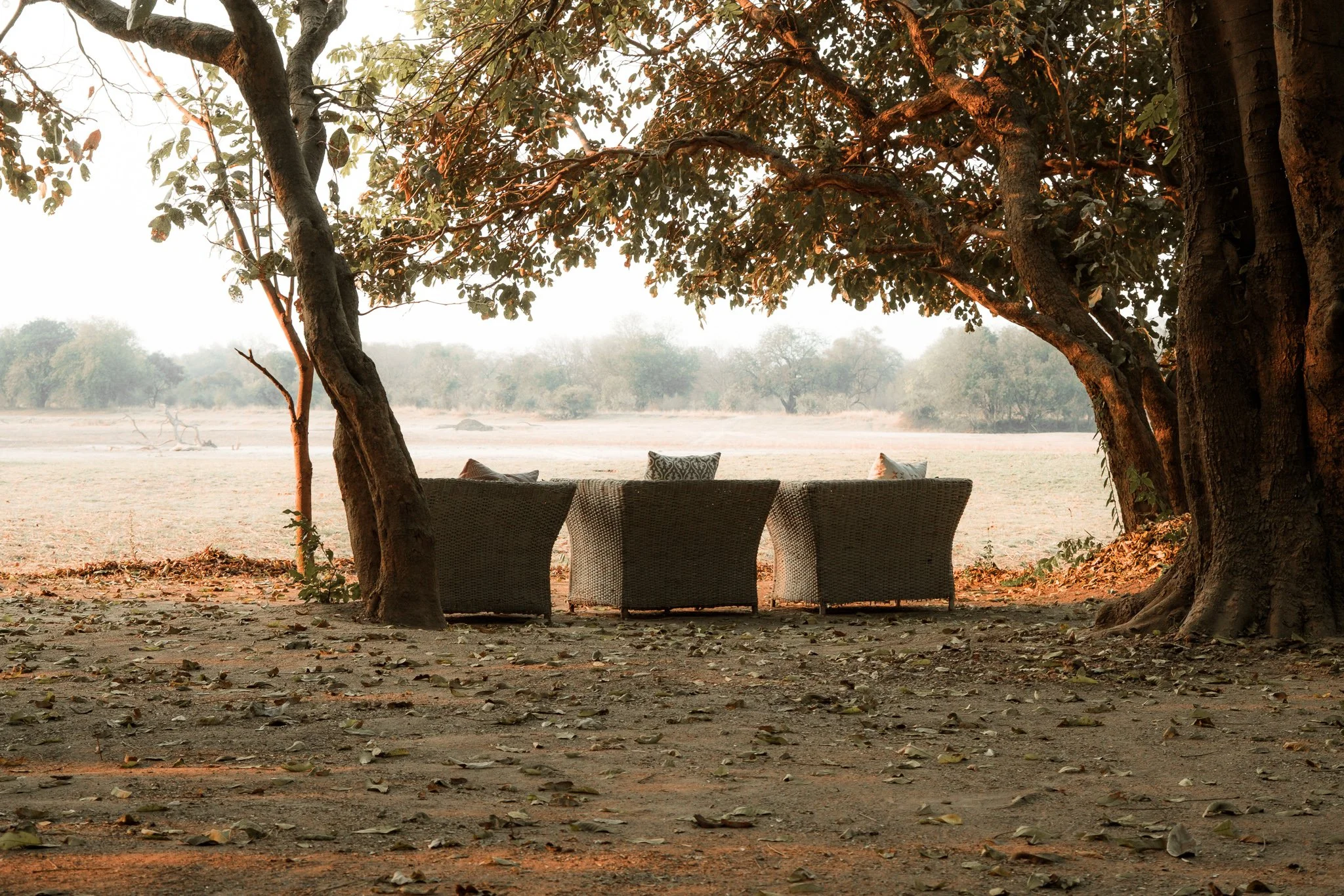 Wicker patio furniture with cushions on a patch of dirt under large trees, overlooking a dry field at sunset.