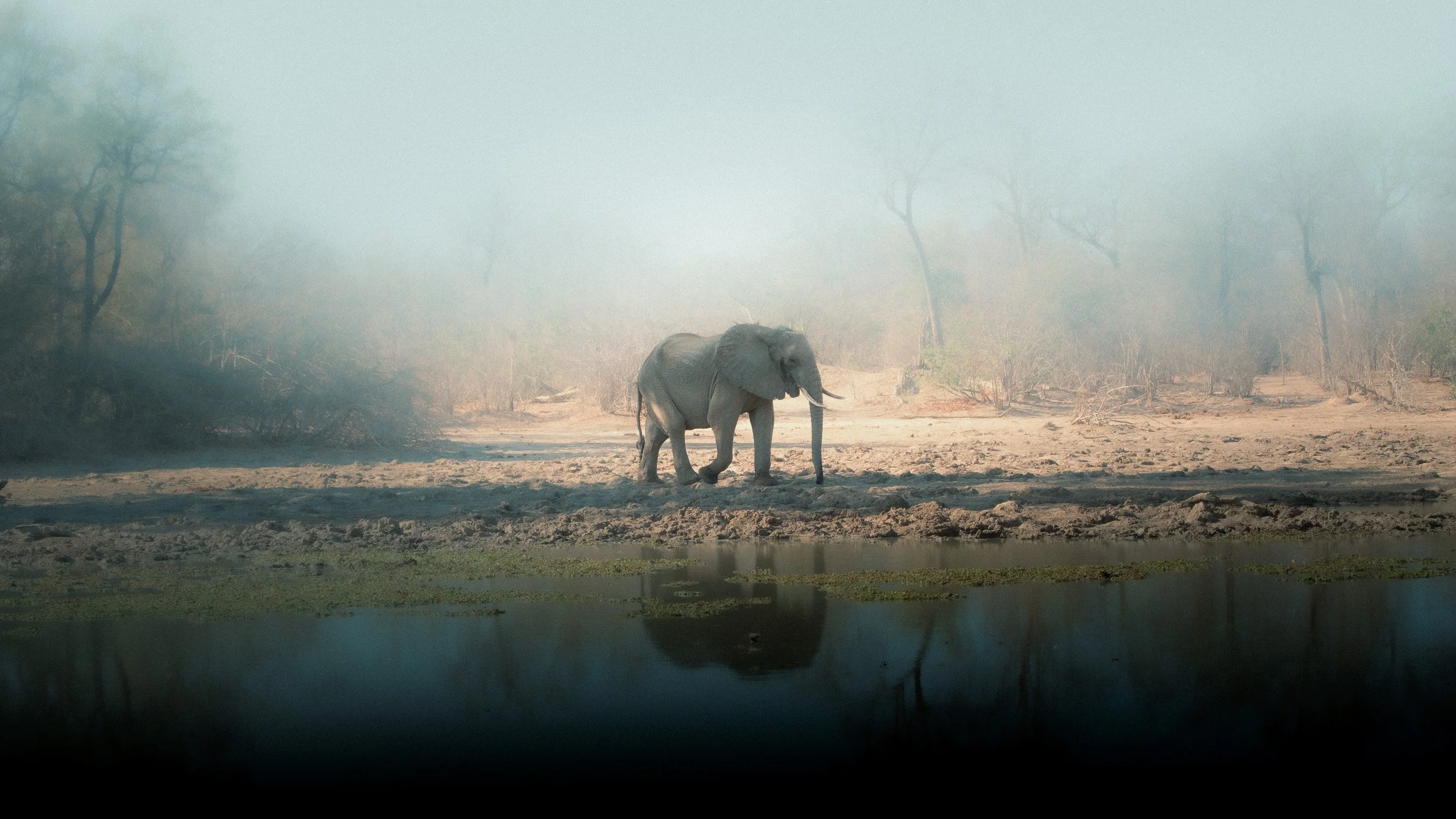 Mana_Pools_PHOTO_WORKSHOP (12 of 18).jpg