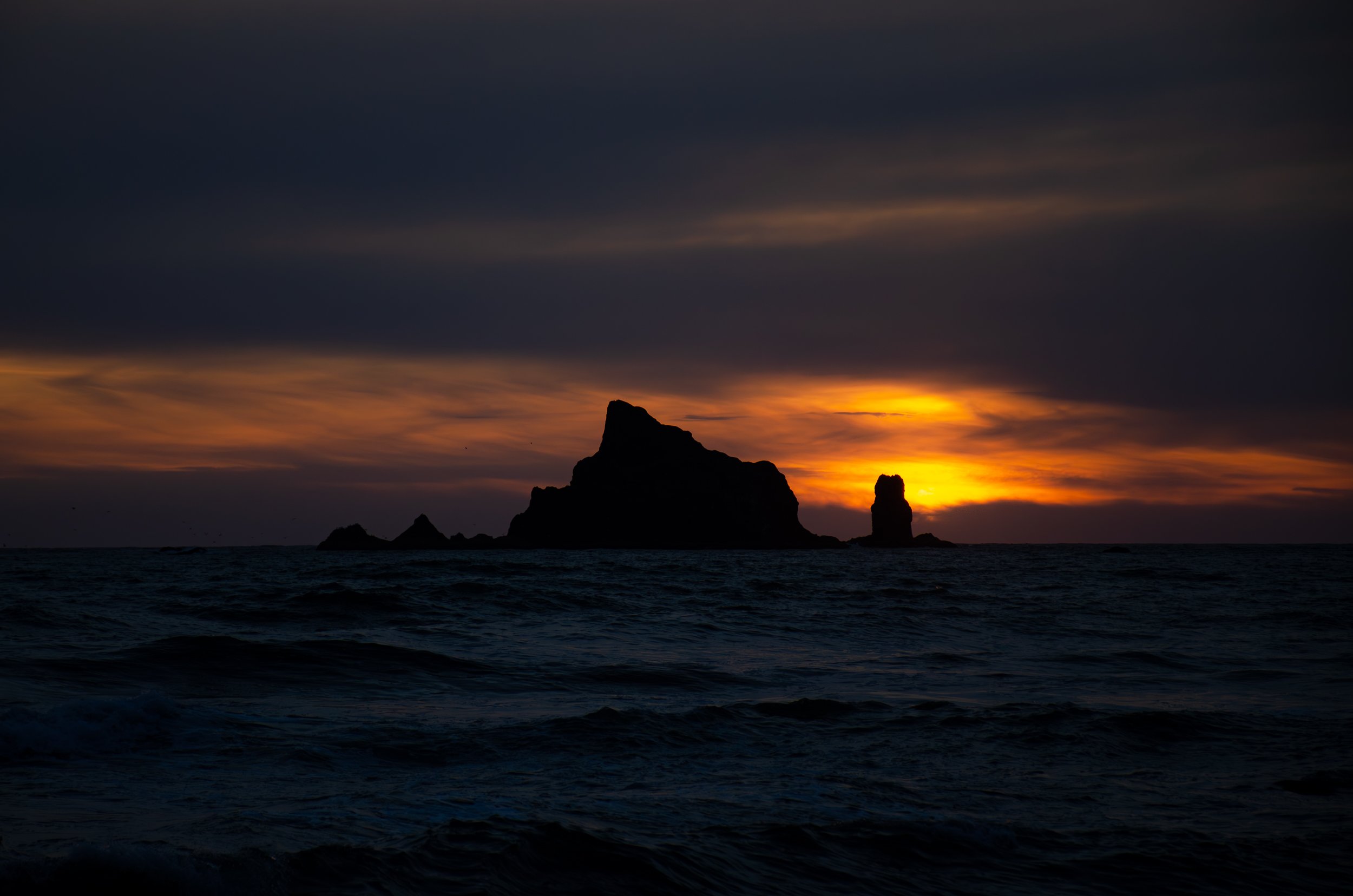 olympic peninsula washington coast-7.jpg