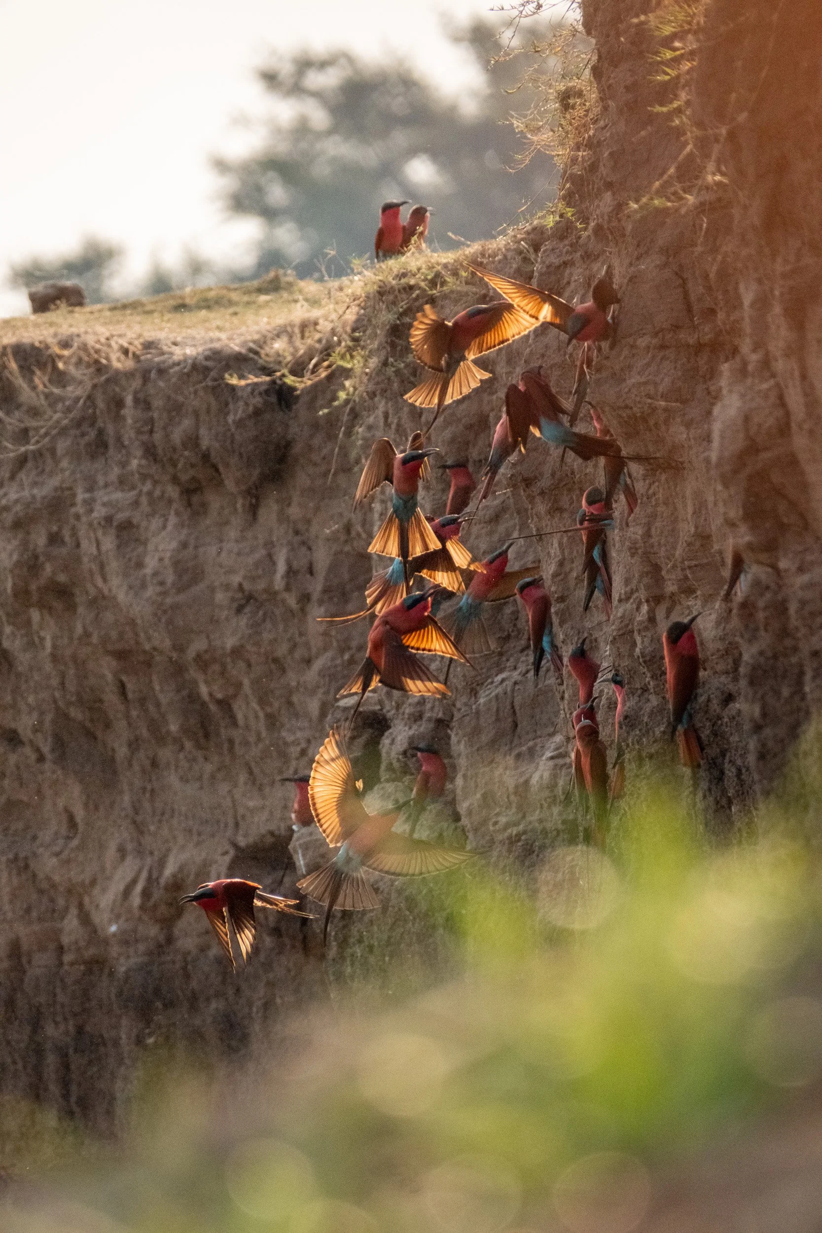 ZAMBIA_PHOTO_WORKSHOP (24 of 27).jpg