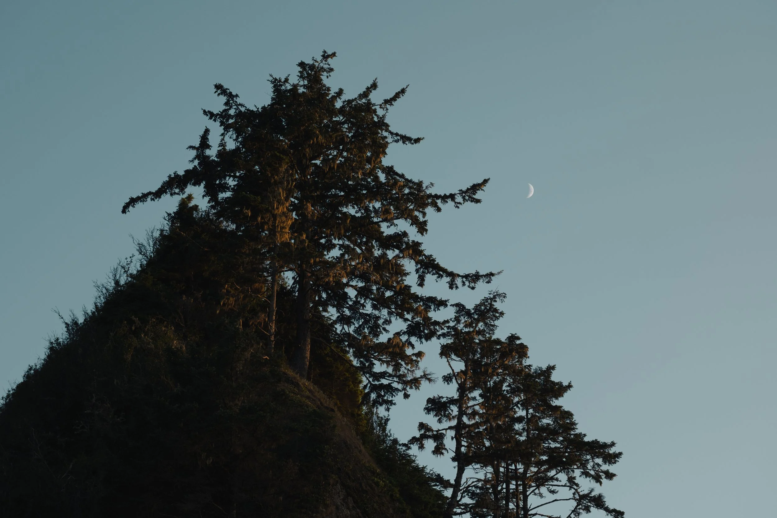 OLYMPIC_COAST_BACKPACK_2_ (13 of 22).jpg