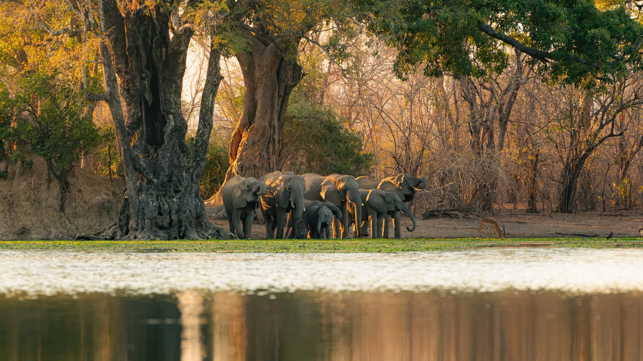 Mana_Pools_PHOTO_WORKSHOP (15 of 18).jpg
