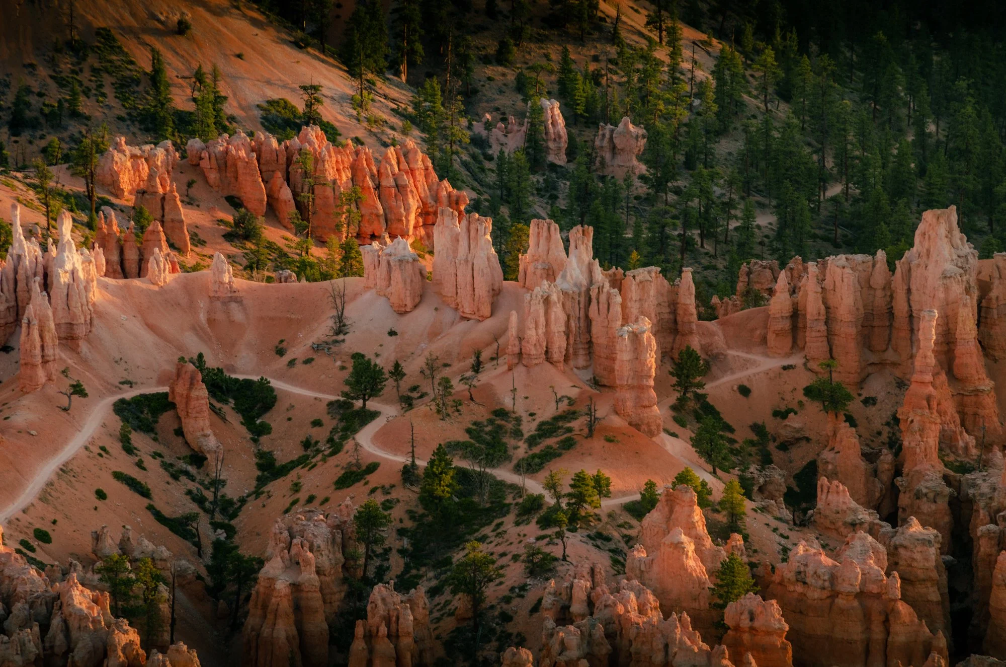 2023 desert edits-17.jpg