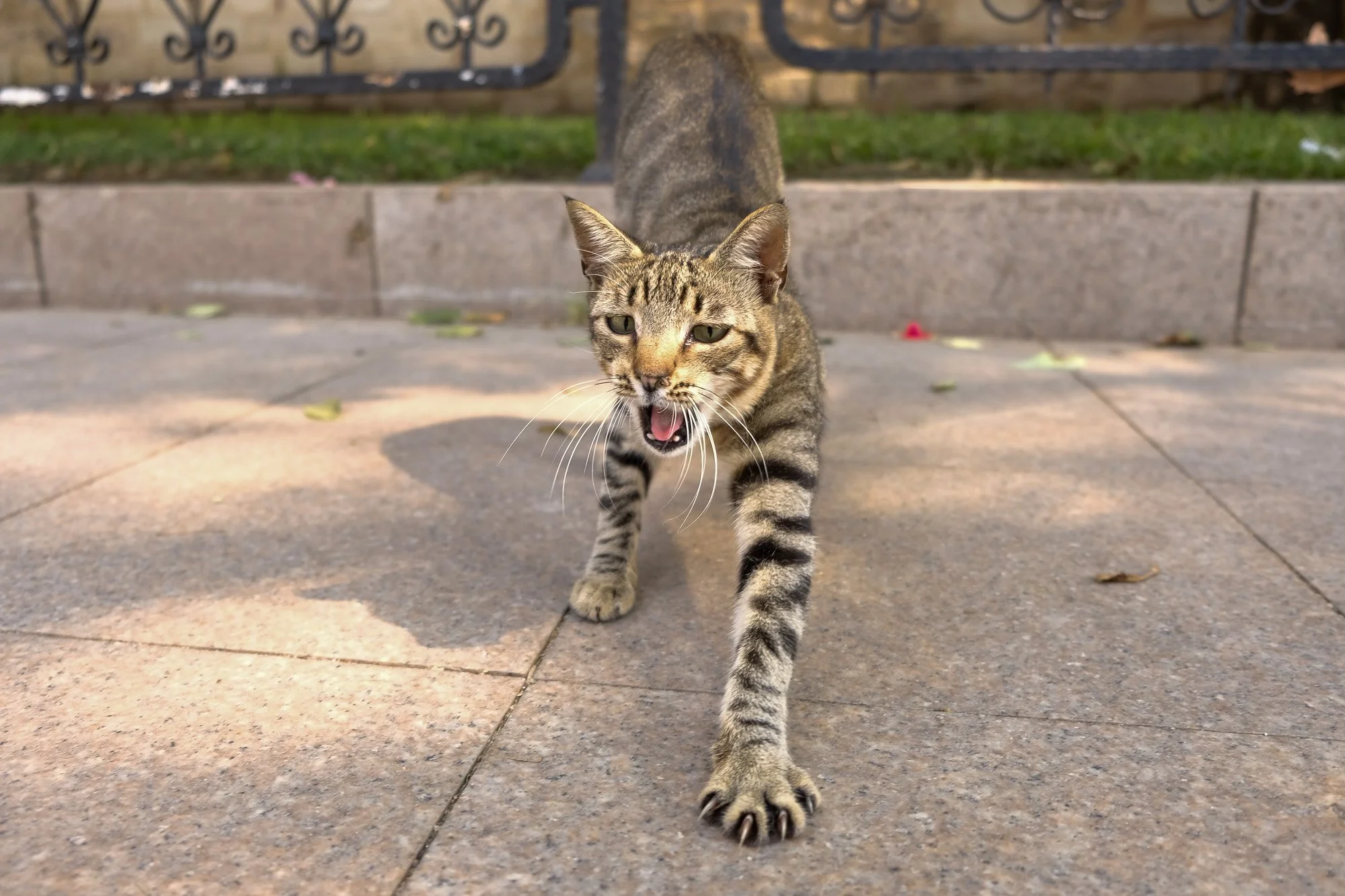 ISTANBUL STREET PHOTOGRAPHY-7-2.jpg