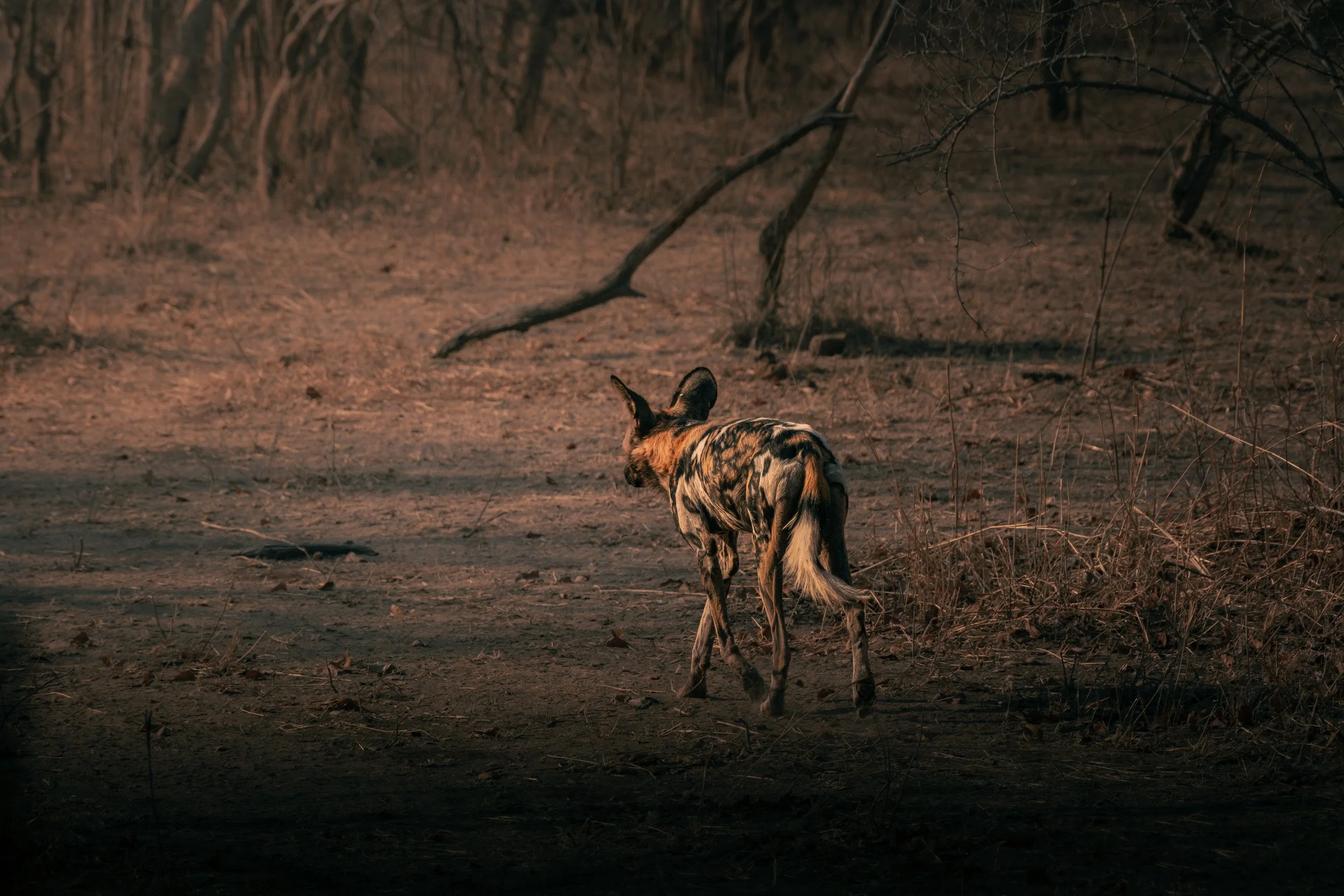 ZAMBIA_PHOTO_WORKSHOP (27 of 27).jpg