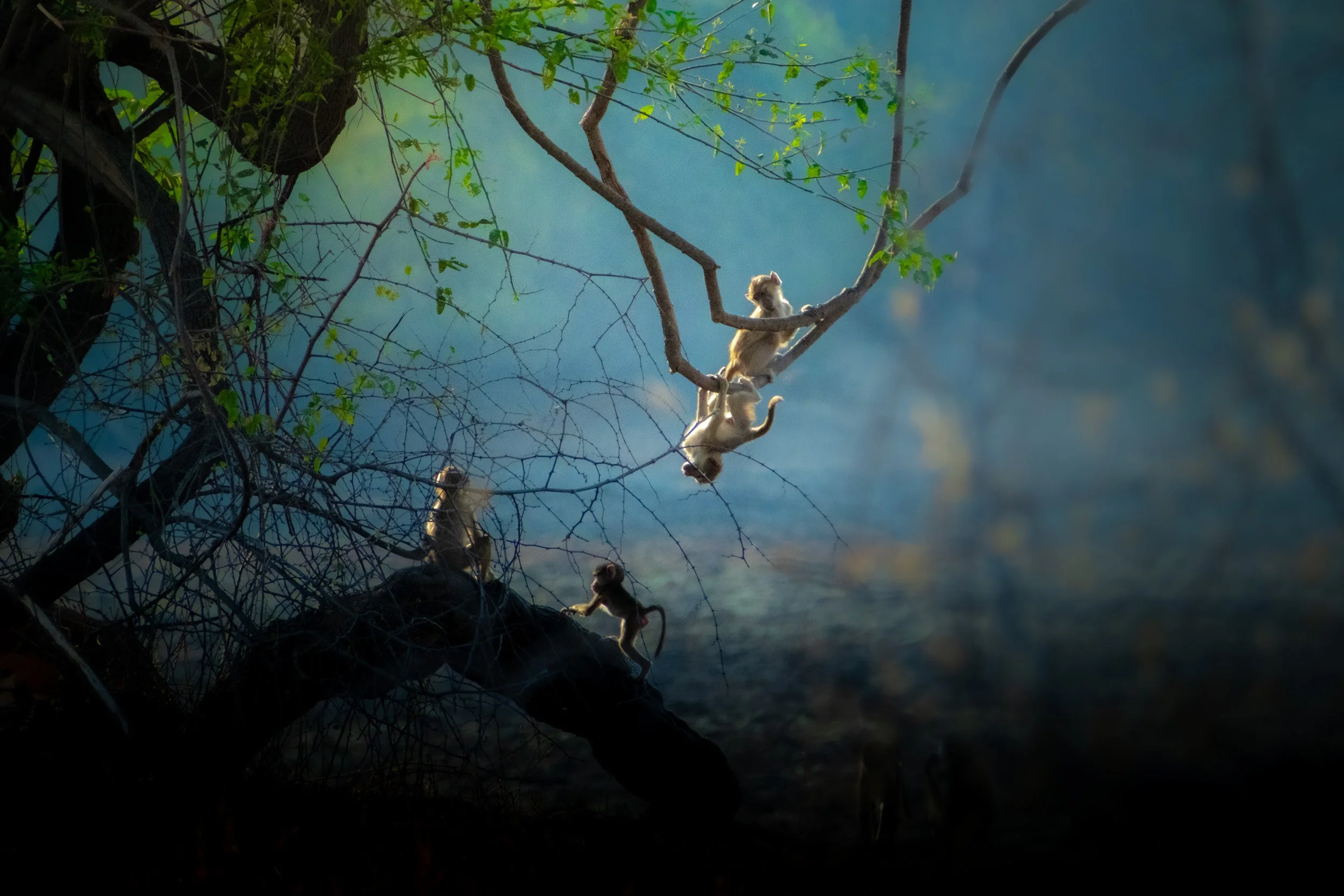 ZAMBIA_PHOTO_WORKSHOP (23 of 27).jpg