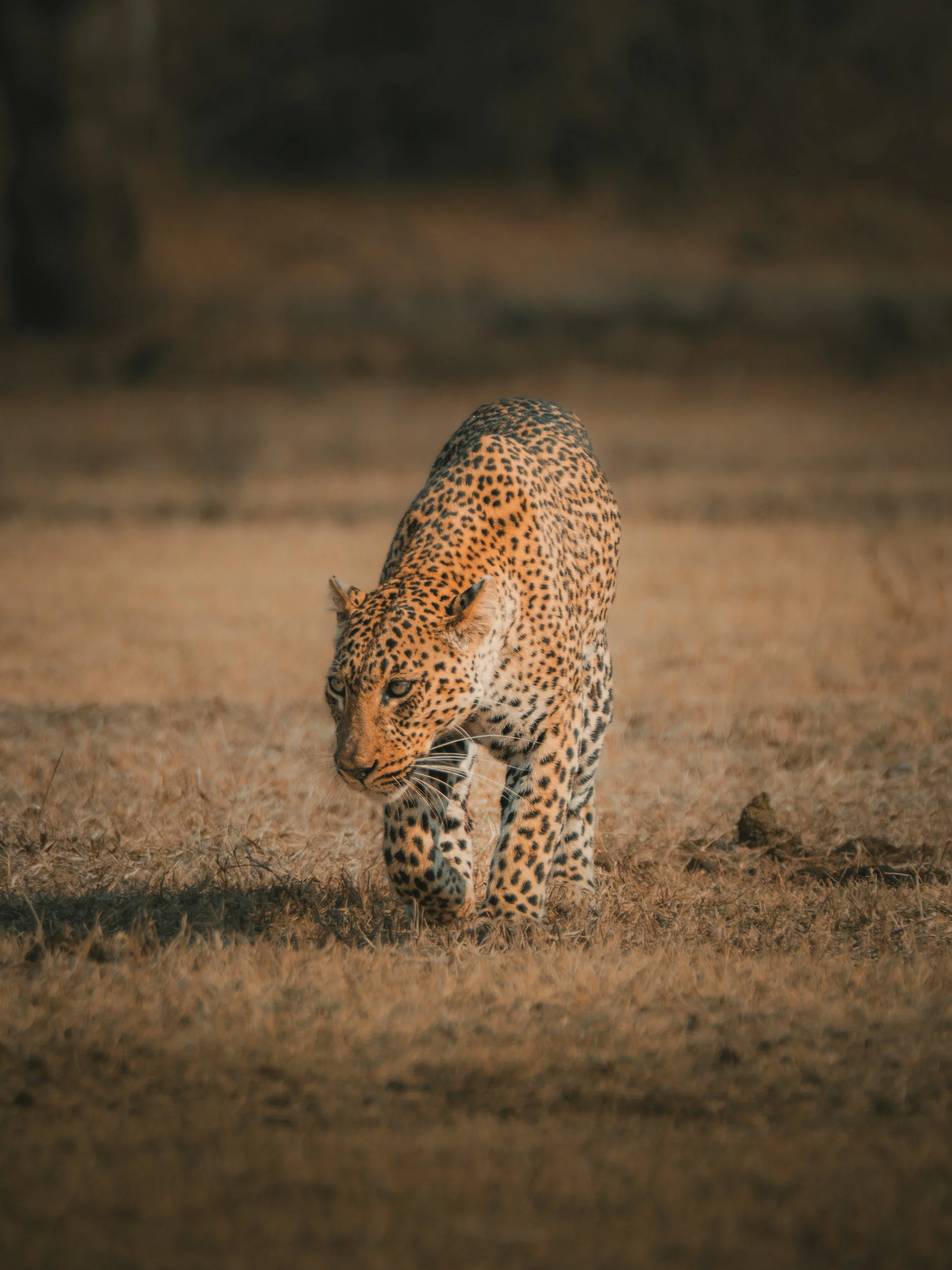 ZAMBIA_PHOTO_WORKSHOP (12 of 27).jpg