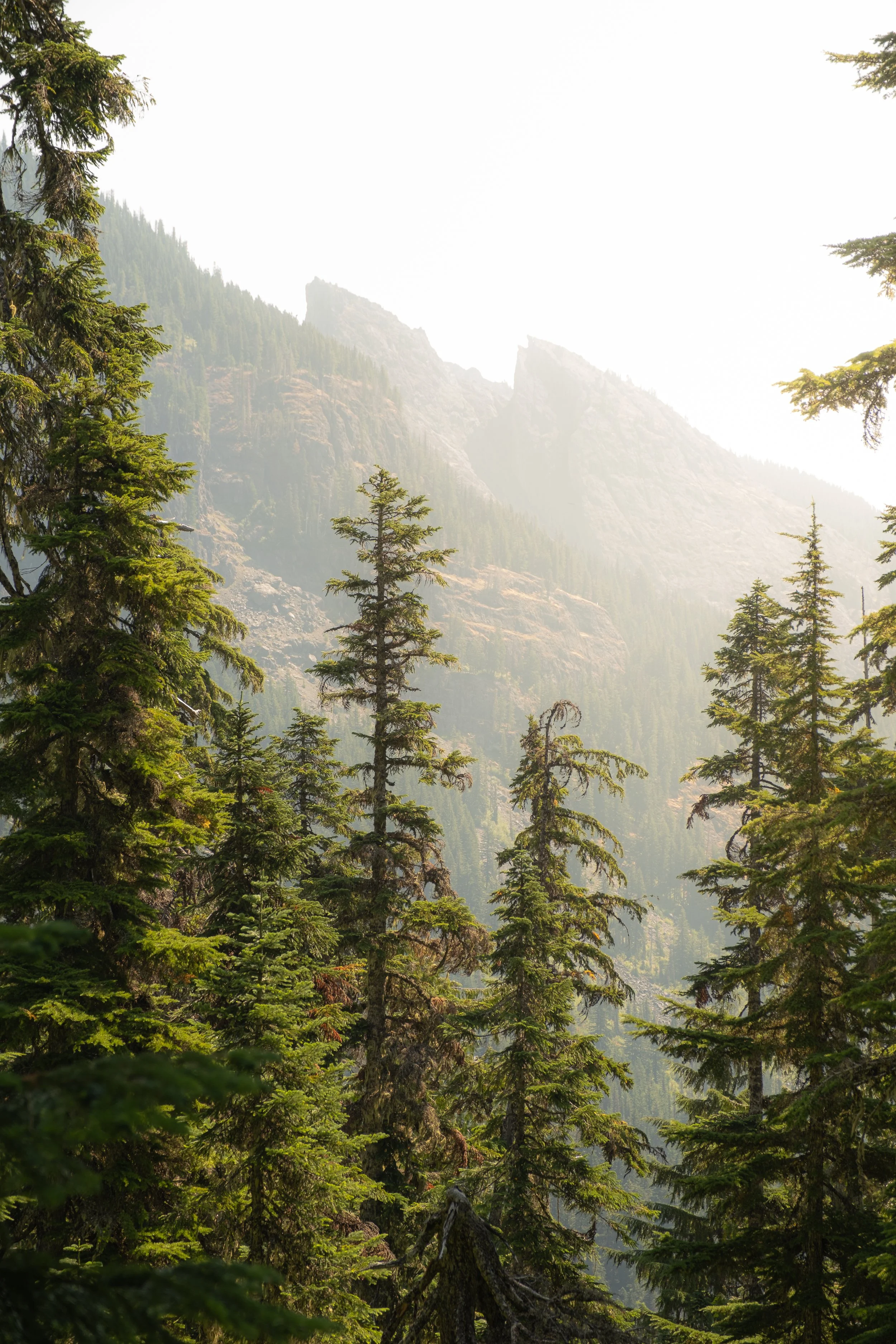 mountain outdoor photography washington state-4.jpg