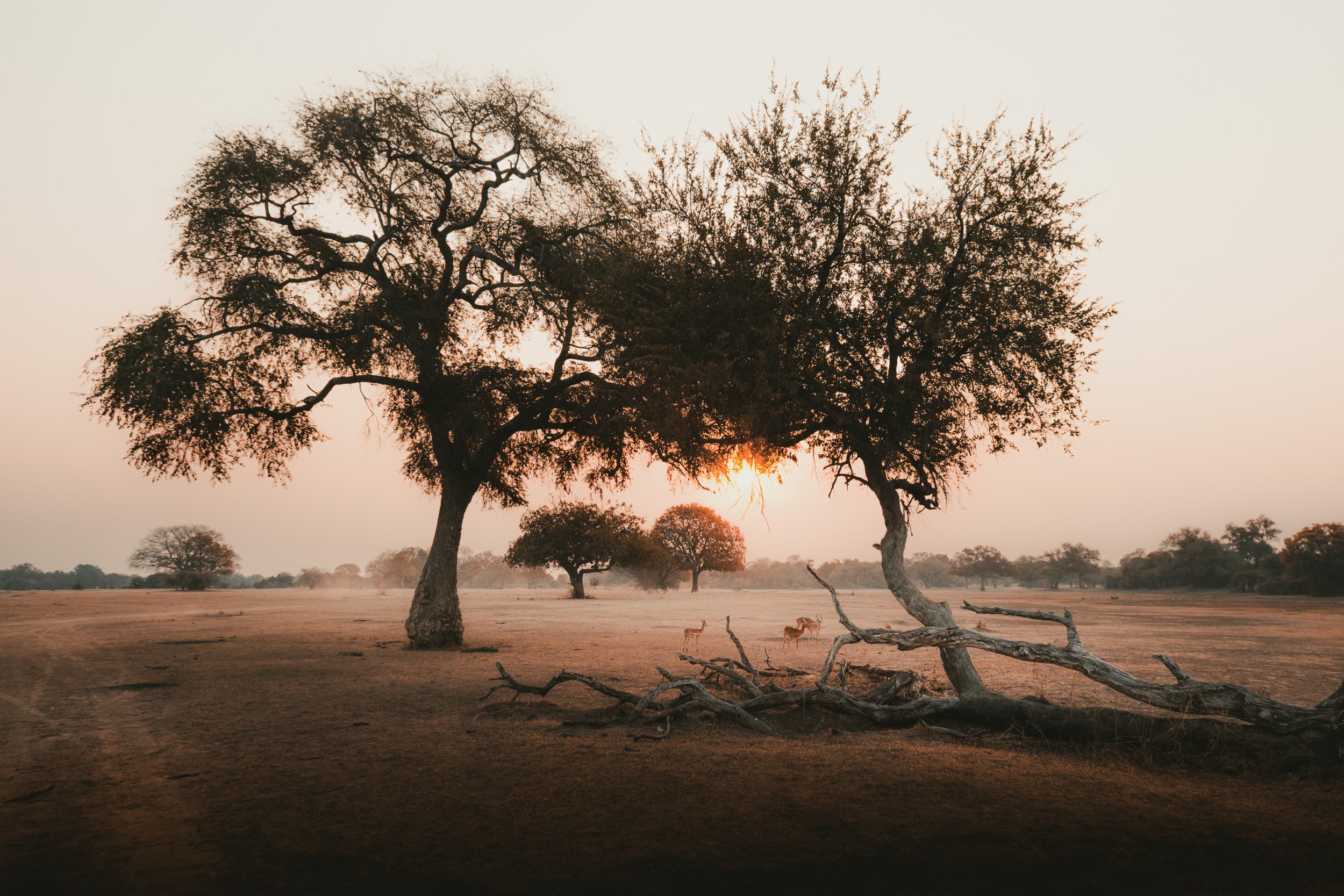 ZAMBIA_PHOTO_WORKSHOP (3 of 27).jpg