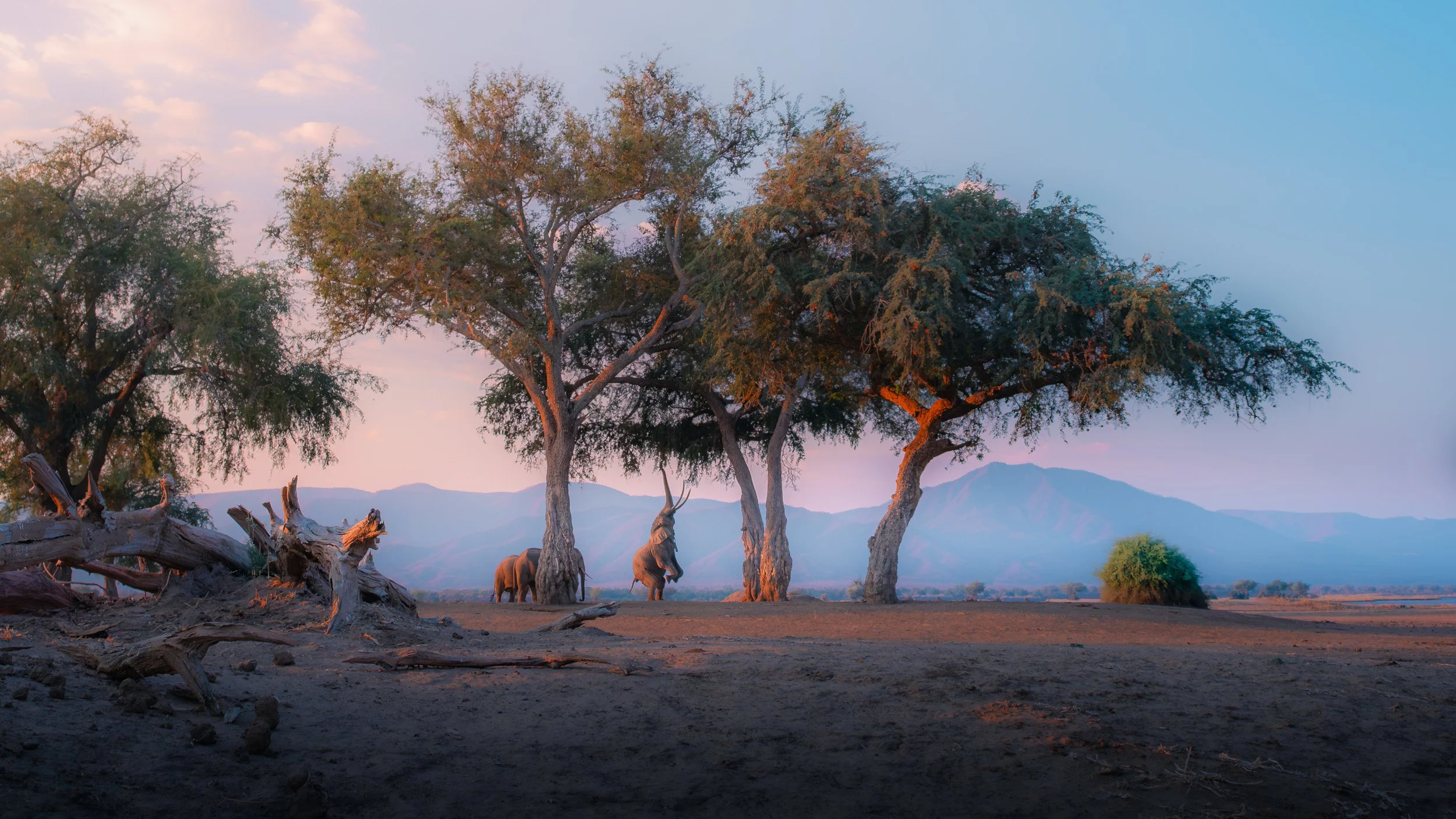 Mana_Pools_PHOTO_WORKSHOP (4 of 18).jpg