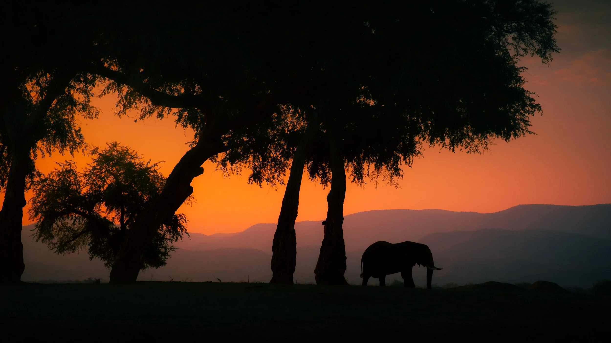 Mana_Pools_PHOTO_WORKSHOP (5 of 18).jpg