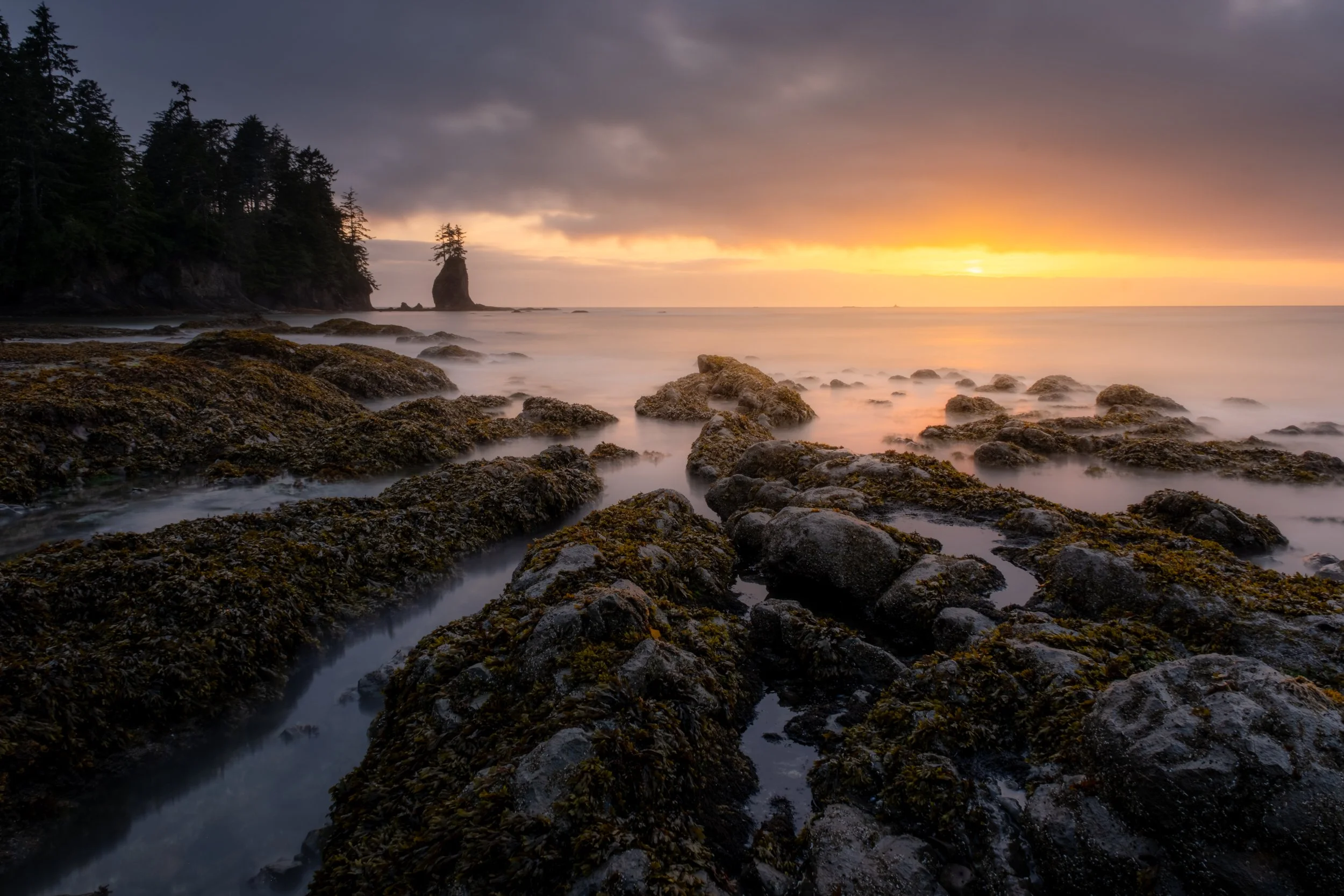 OLYMPIC_COAST_BACKPACK (14 of 36).jpg