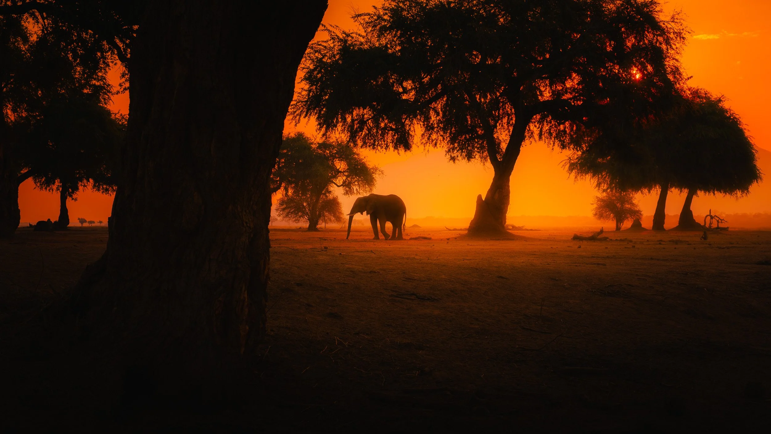 Mana_Pools_PHOTO_WORKSHOP (1 of 18).jpg