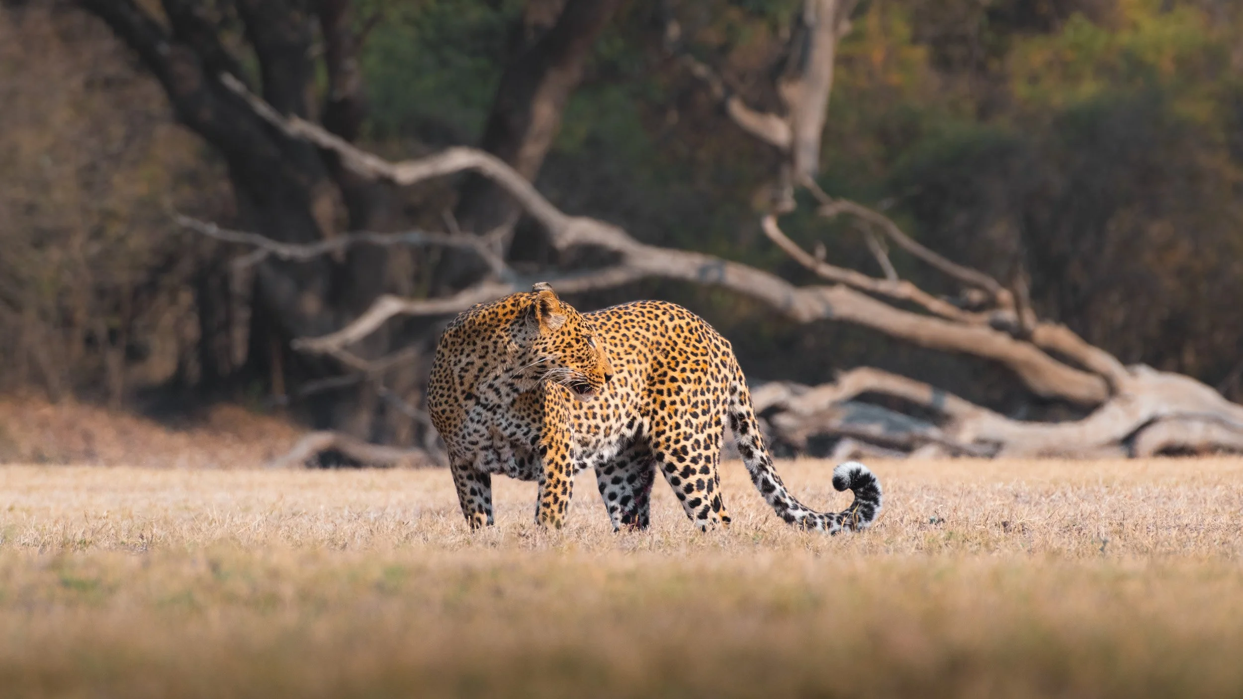 ZAMBIA_PHOTO_WORKSHOP (13 of 27).jpg