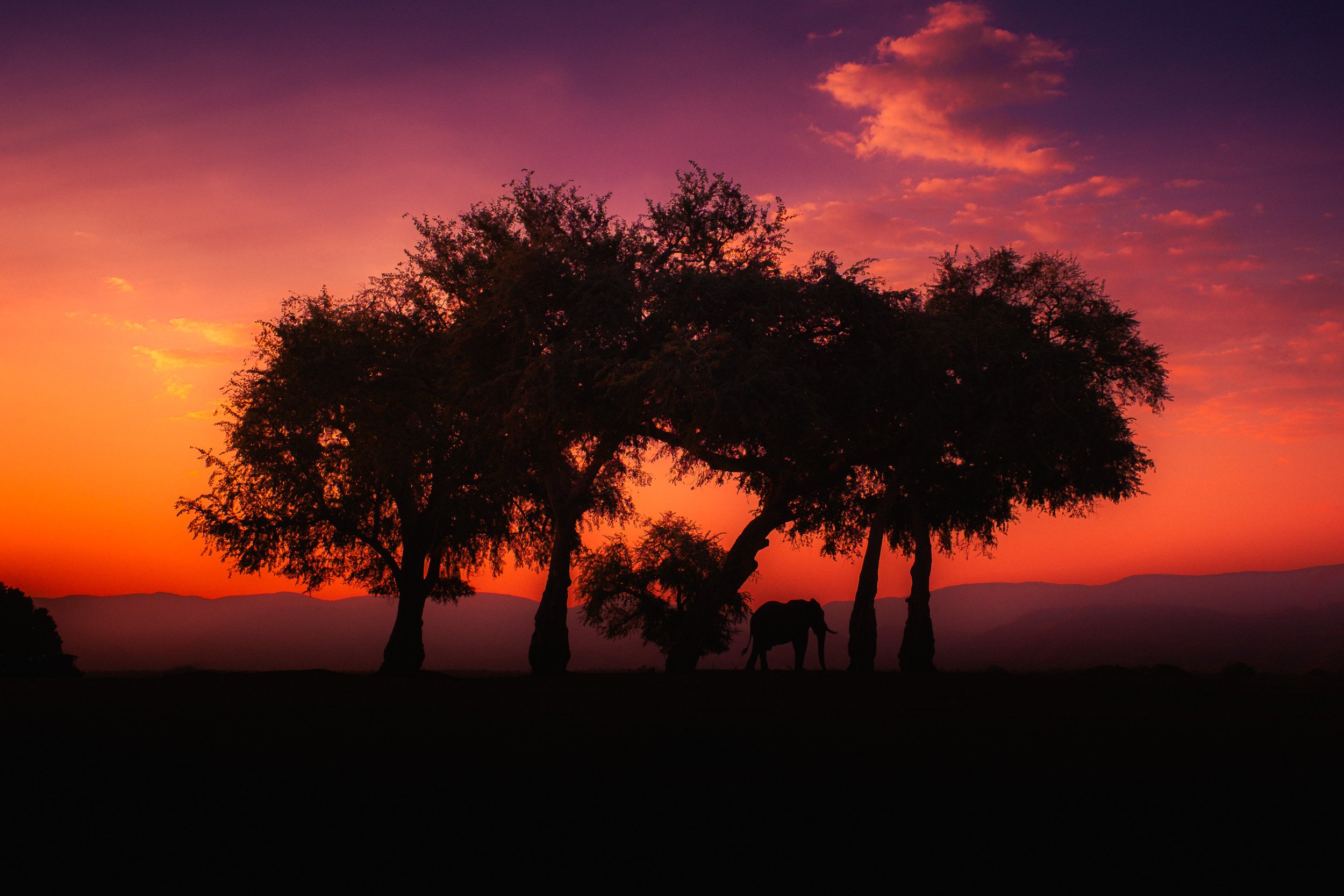Mana_Pools_PHOTO_WORKSHOP_NEW (1 of 8).jpg