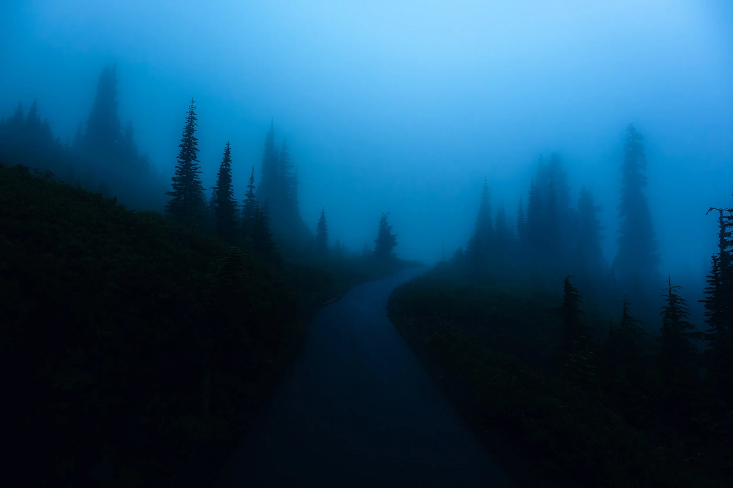 Mt Rainier  (19 of 46).jpg