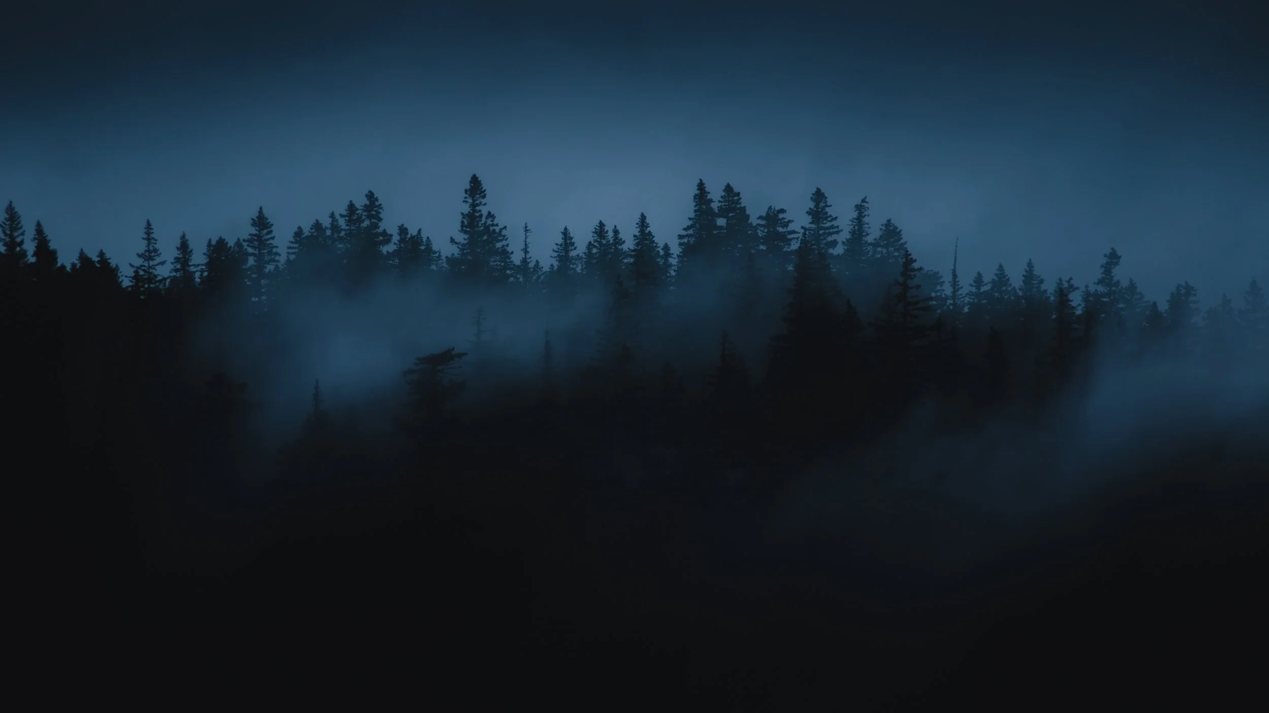 treesedit-1.jpg