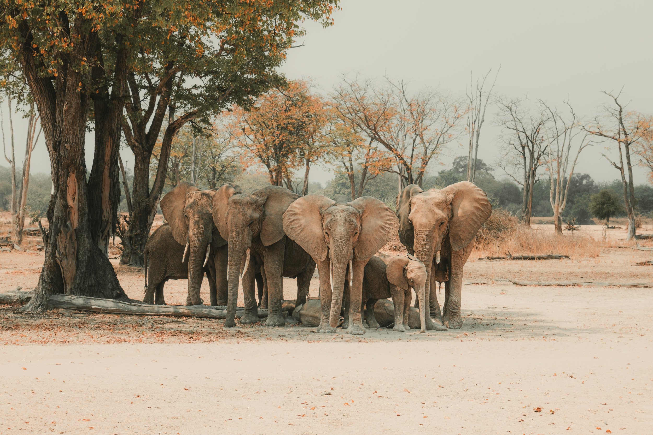 ZAMBIA_PHOTO_WORKSHOP (6 of 27).jpg