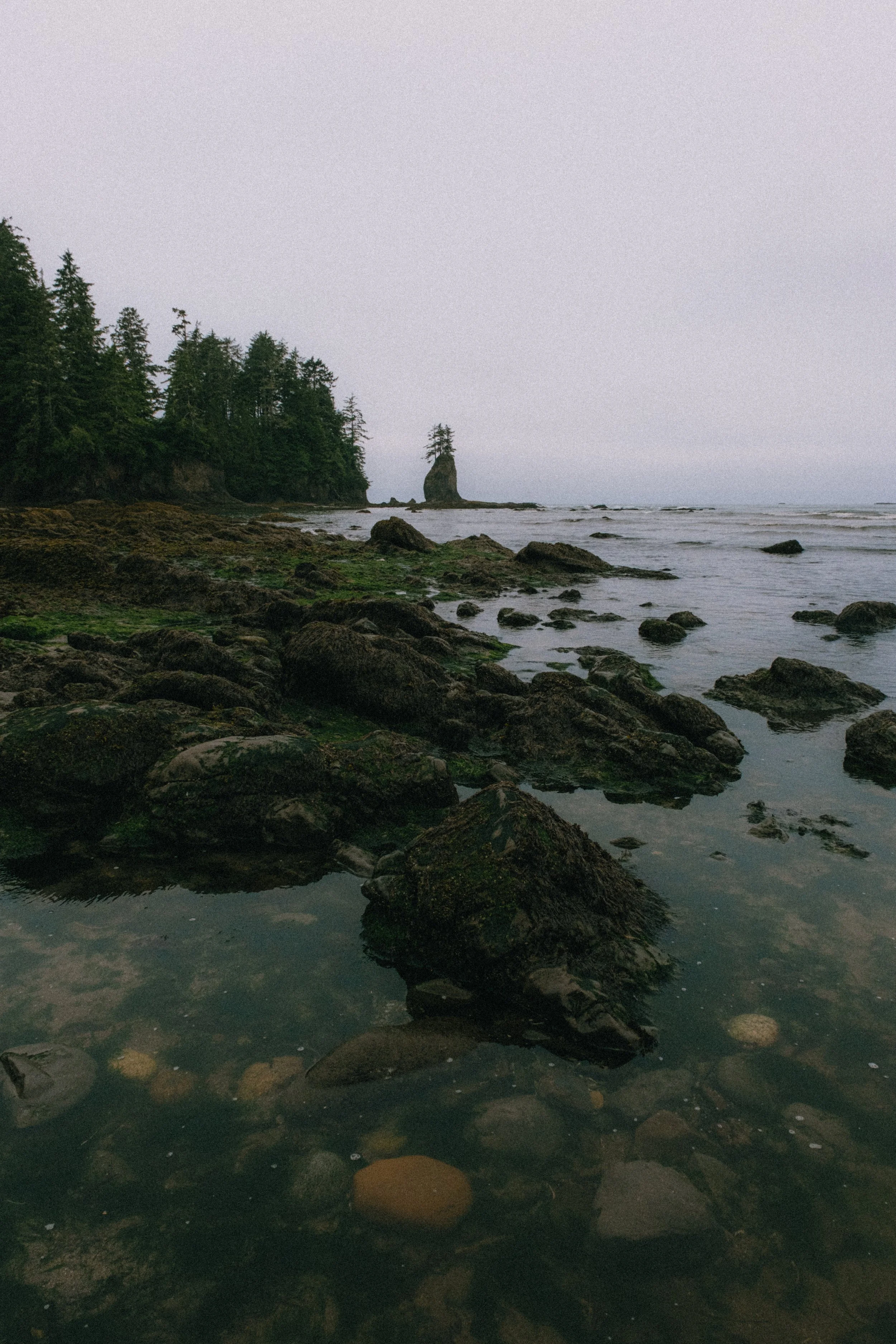 OLYMPIC_COAST_BACKPACK (25 of 36).jpg