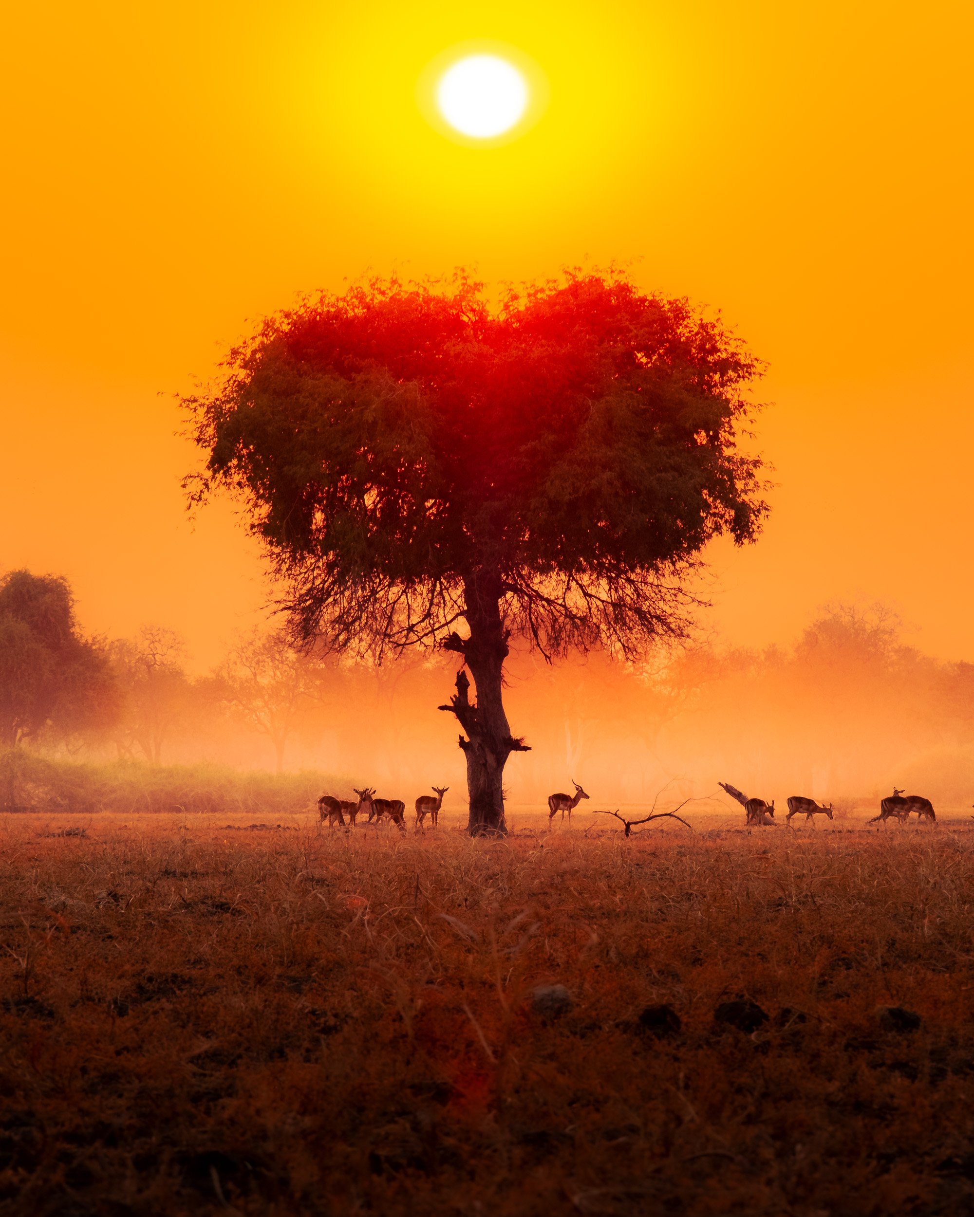 ZAMBIA_PHOTO_WORKSHOP (1 of 27).jpg