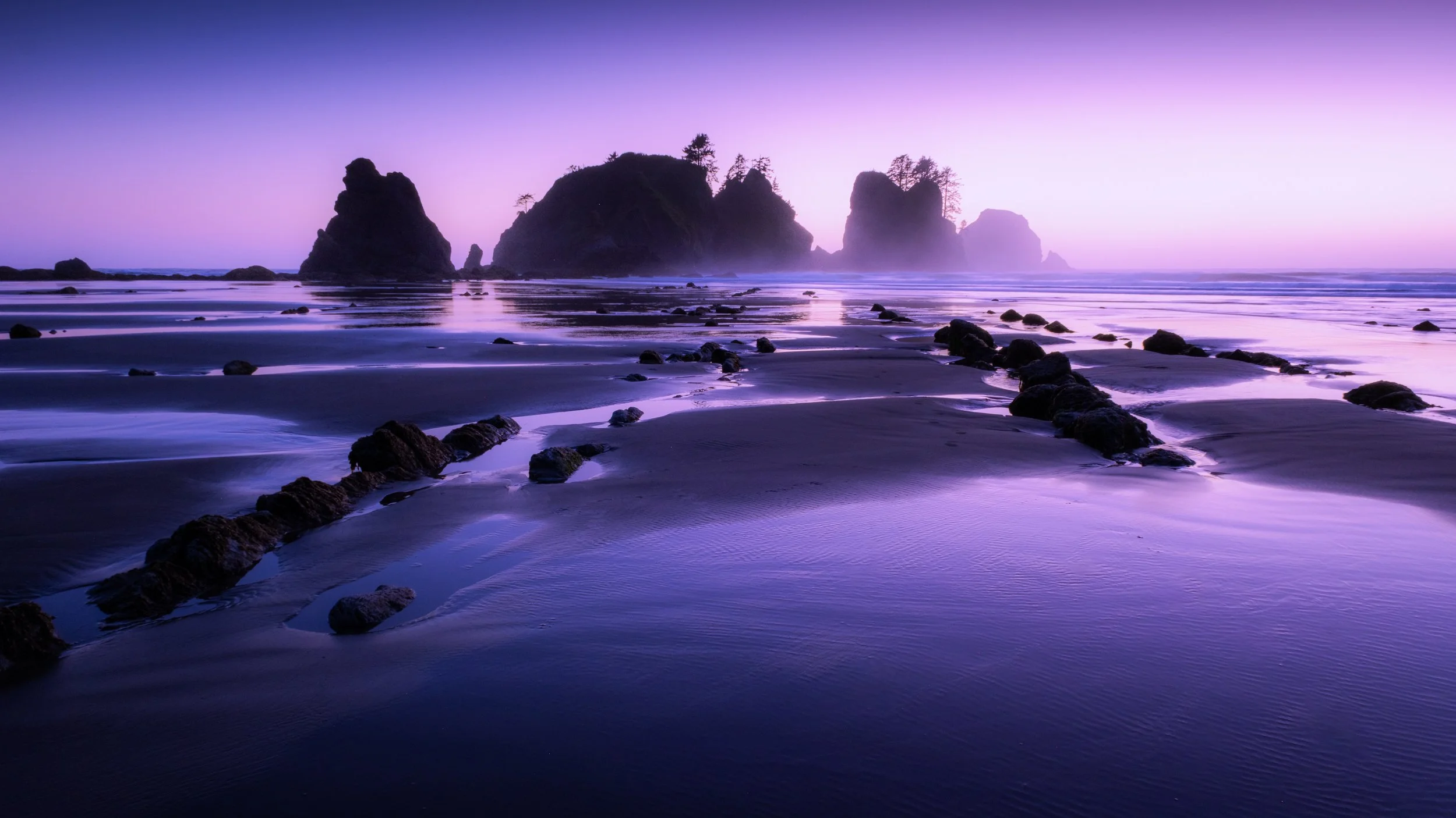WA Landscape Exports New (5 of 8).jpg