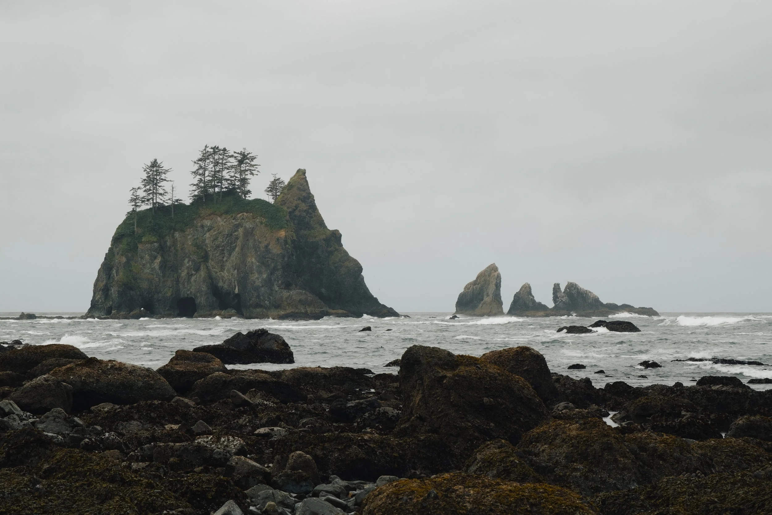 OLYMPIC_COAST_BACKPACK_3_ (13 of 23).jpg