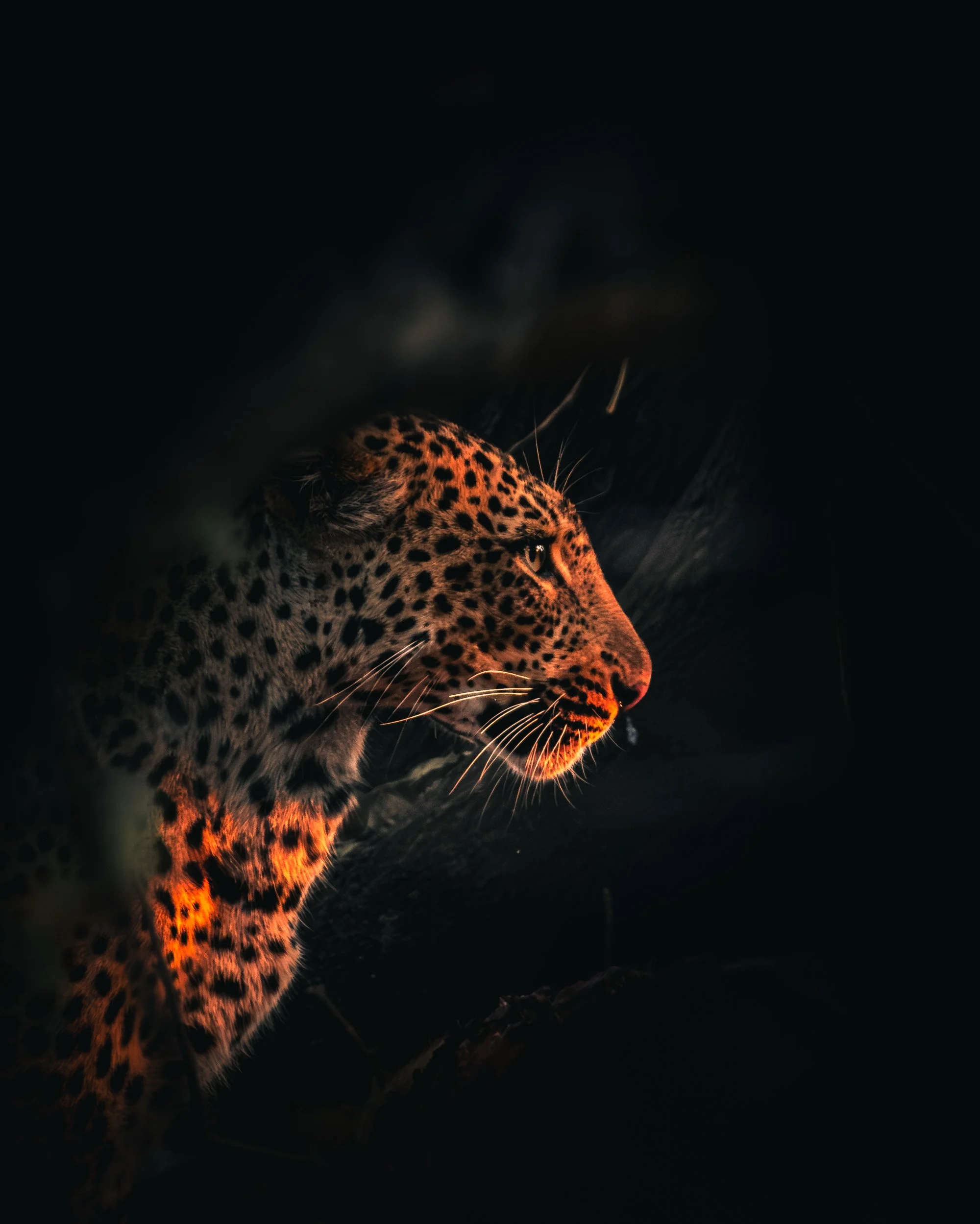 ZAMBIA_PHOTO_WORKSHOP (22 of 27).jpg
