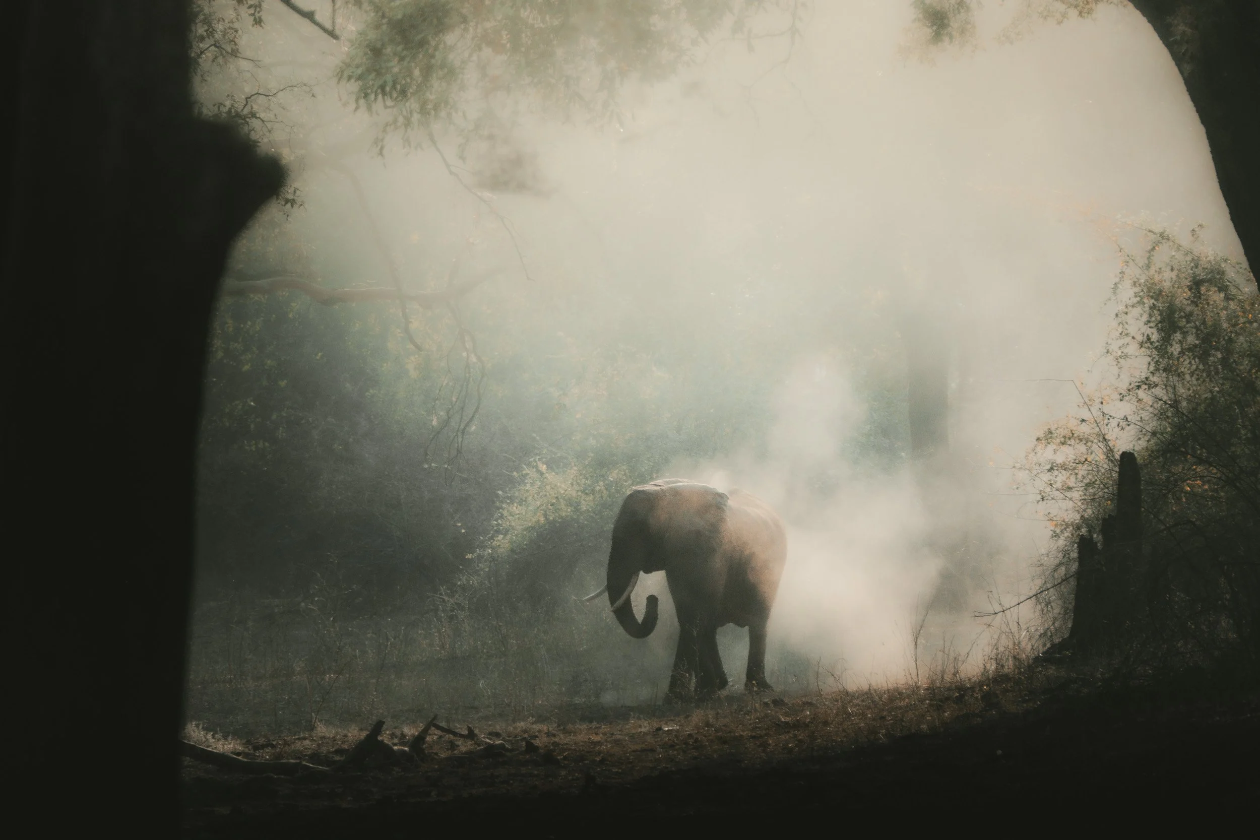 ZAMBIA_PHOTO_WORKSHOP (18 of 27).jpg