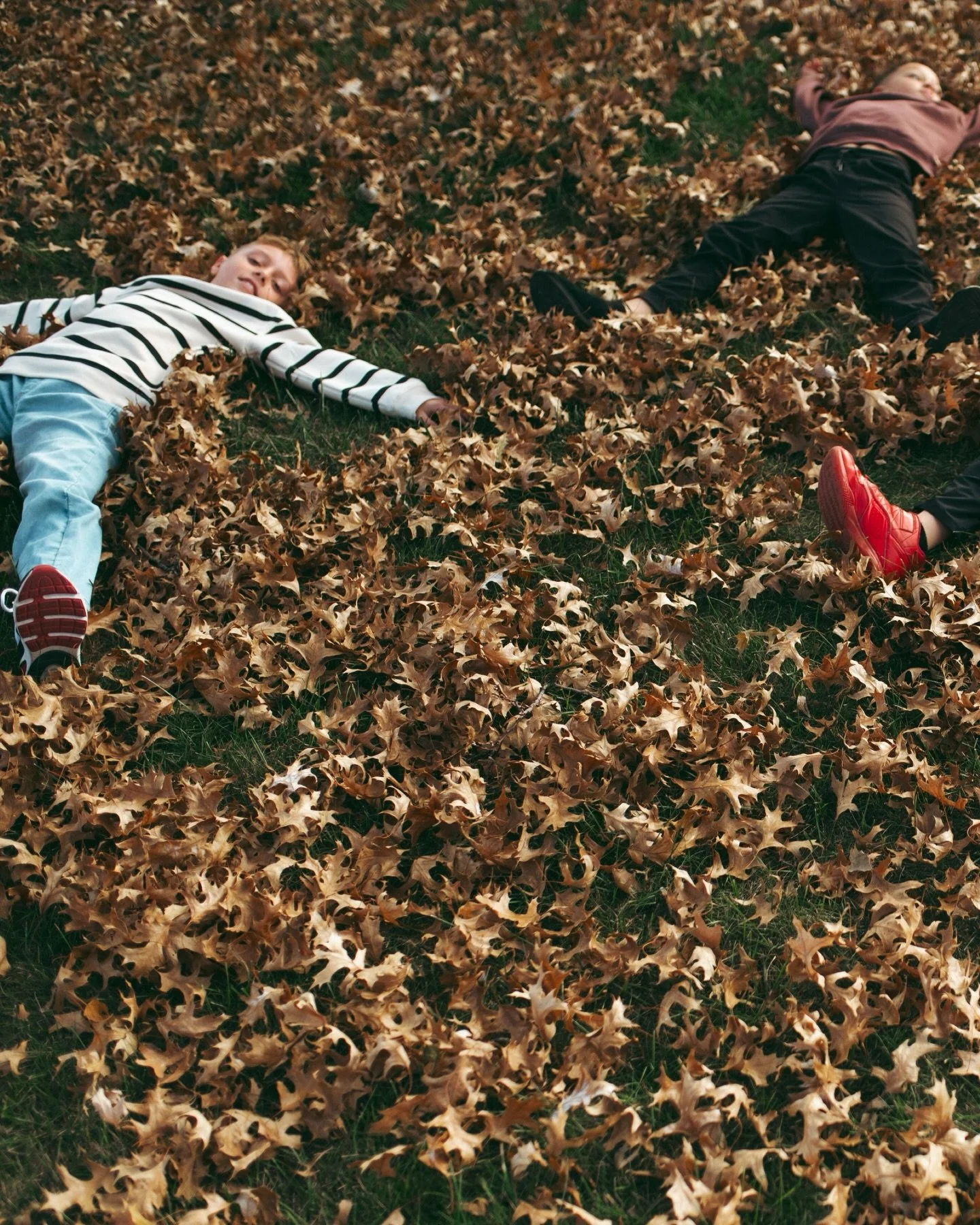 A few snaps of some real sweeties.