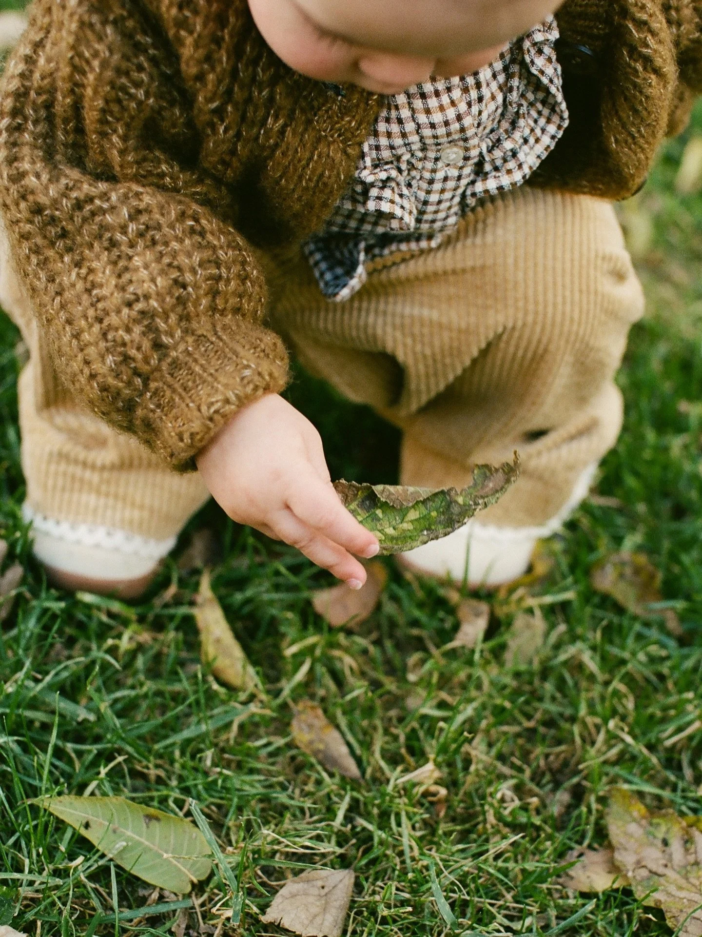 Something so precious about these moments on film. 🍂

📸 my angel @lexieraejohnson