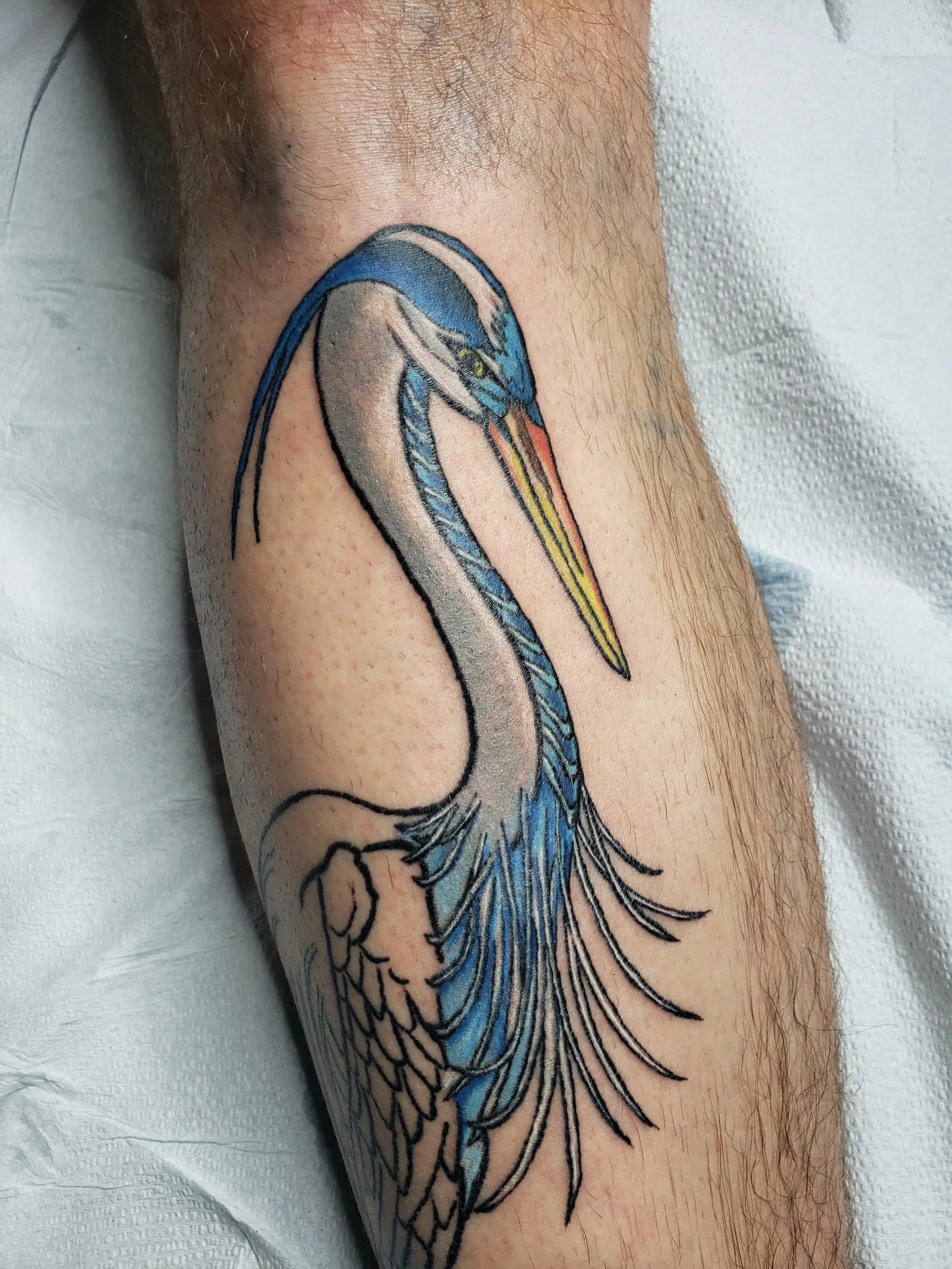 A colorful tattoo of a heron with a blue head, long orange beak, and black outline on a person's leg.