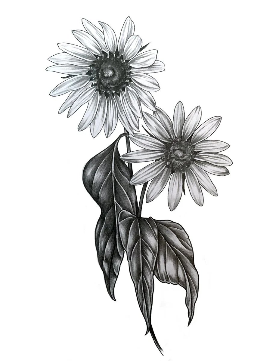 Babysunflowers.jpg