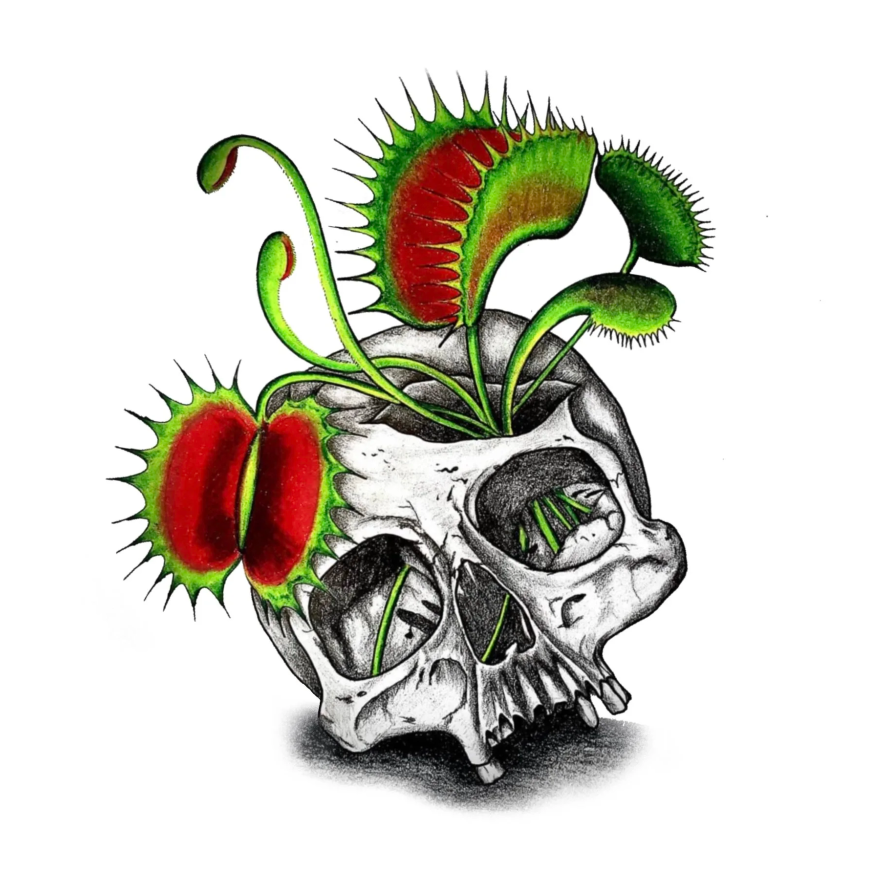 IMG_2646.png