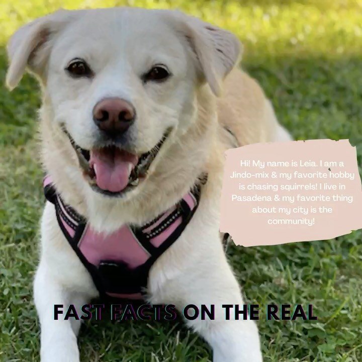 𝐅𝐚𝐬𝐭 𝐅𝐚𝐜𝐭𝐬 𝐨𝐧 𝐭𝐡𝐞 𝐑𝐞𝐚𝐥 🏡:゙

Did you know that 43% of households would change their living situations for their pets?

Zillow consumer housing trends report showed that 57% of the American households have at least one dog, 39% have 