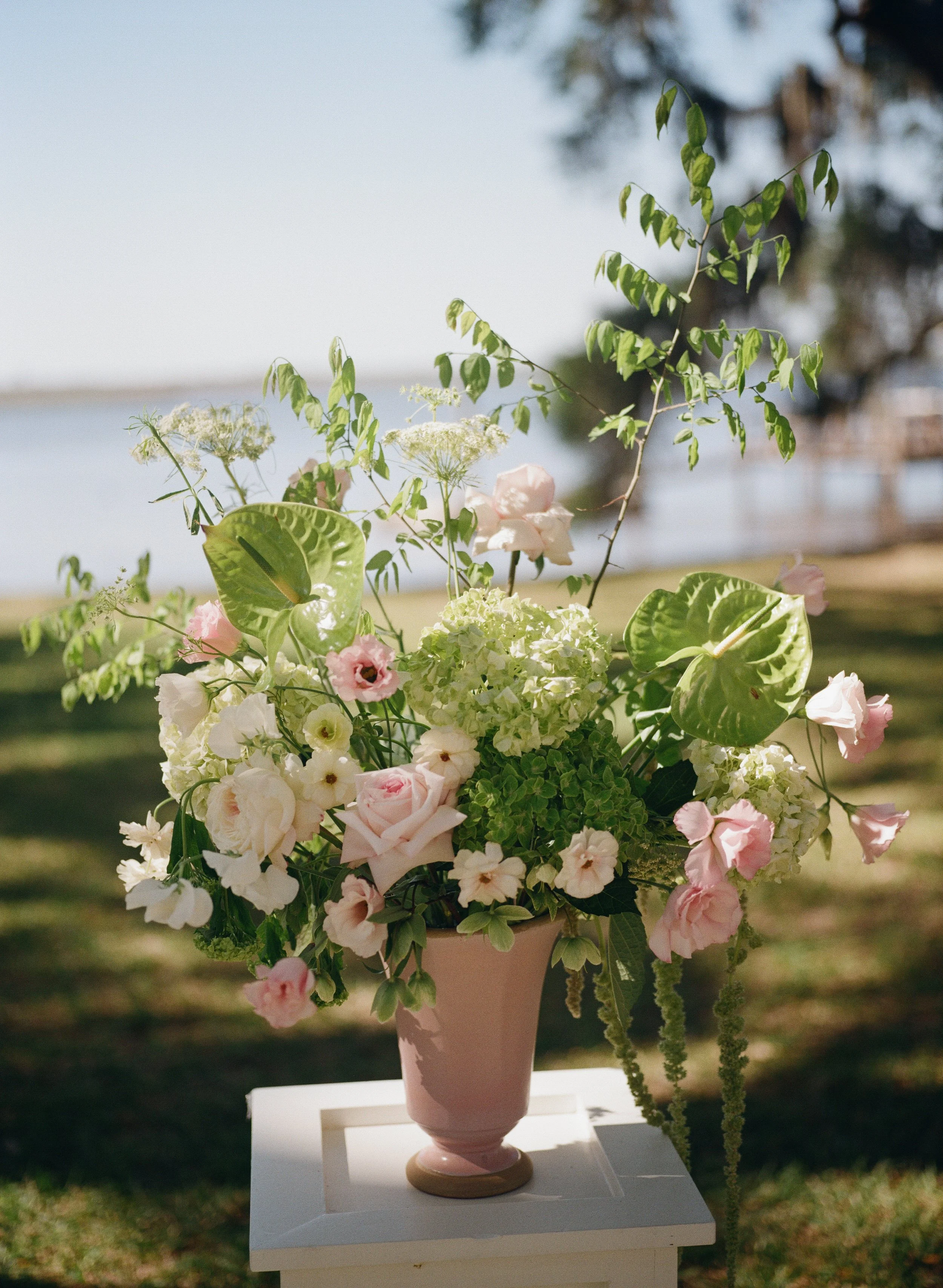 lindsaywilliamfilmatolerphoto-000042610006.jpg