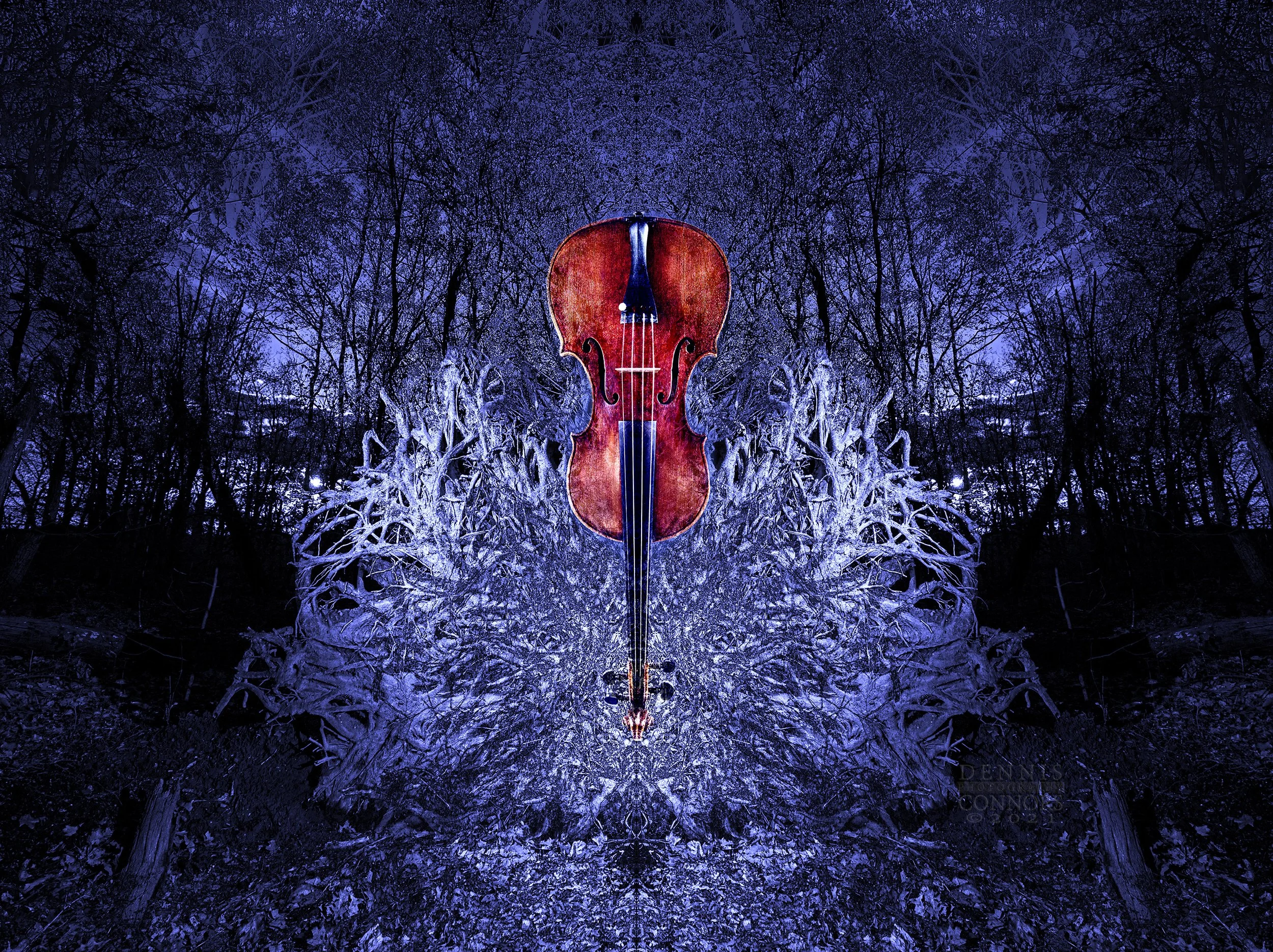 Photomontage of root wad and violin in Mills Reservation, Essex County, New Jersey