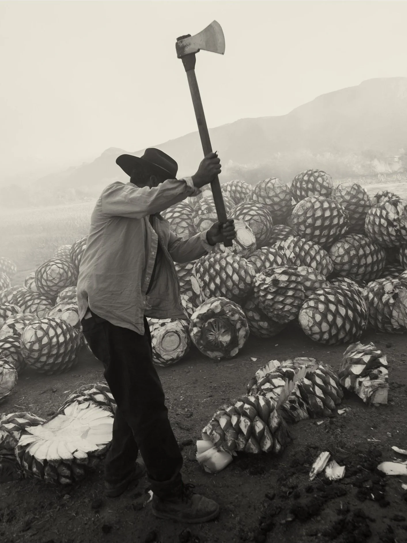 Montelobos Mezcal