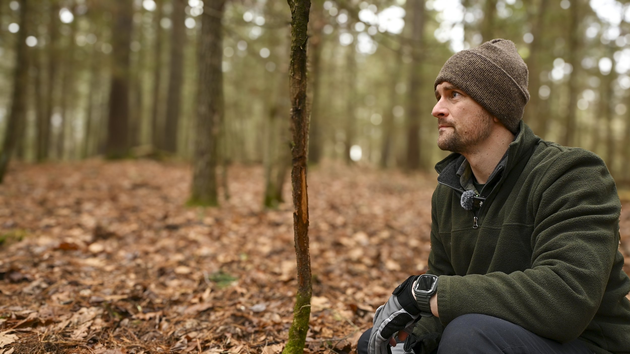 Wildlife photographer examining a tree for animal tracks and sign.