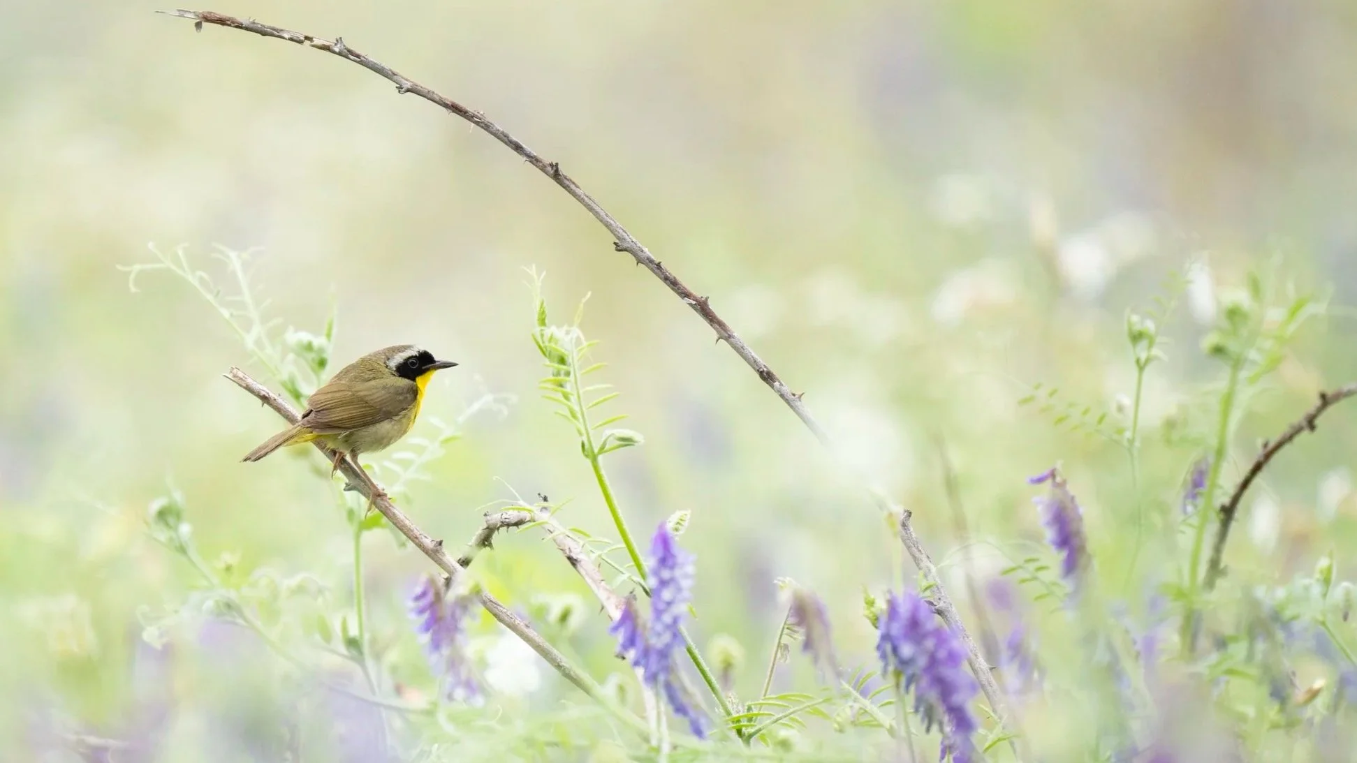 90-Minute Focus Session