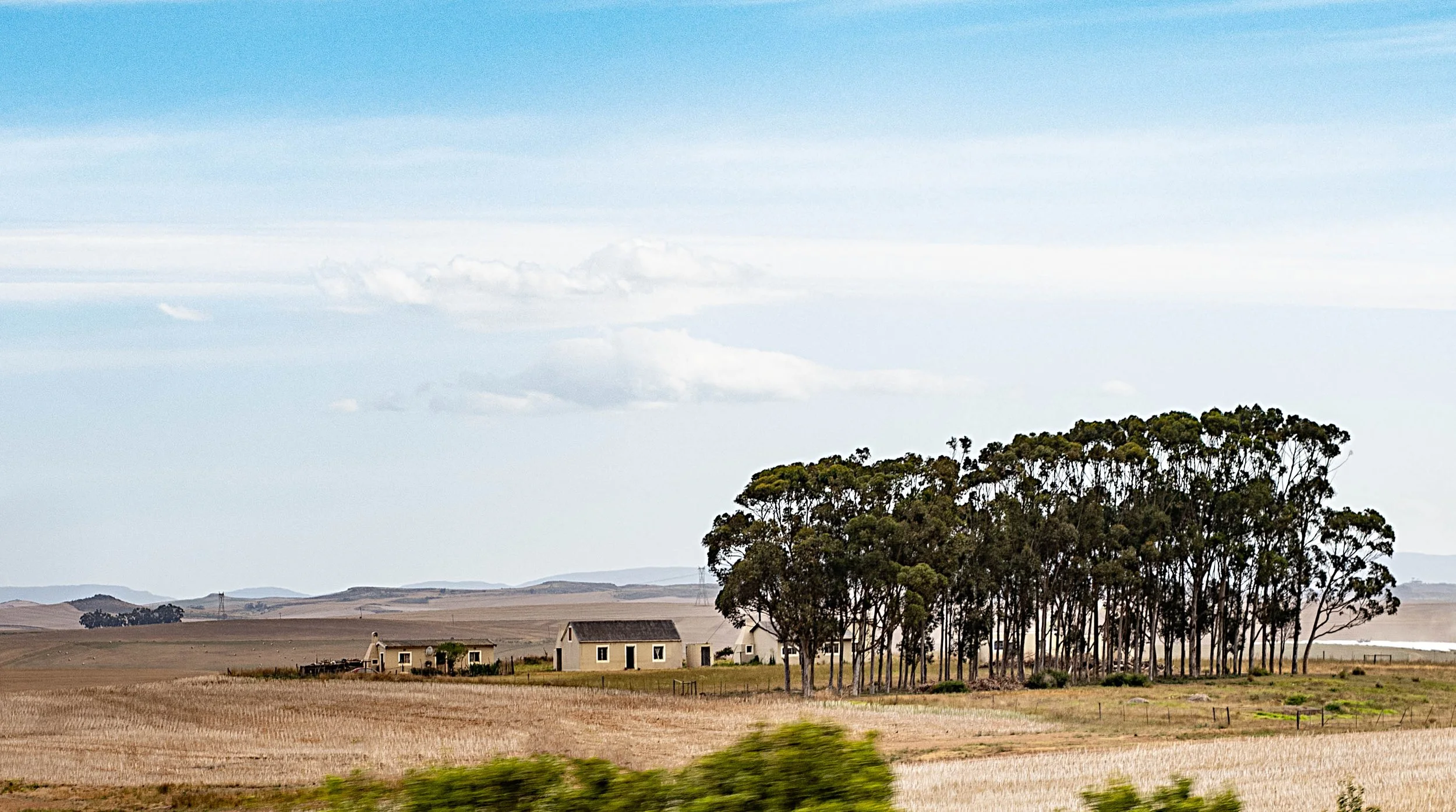 South Africa • Western Cape • Farm in the plain • Dec 12, 2024