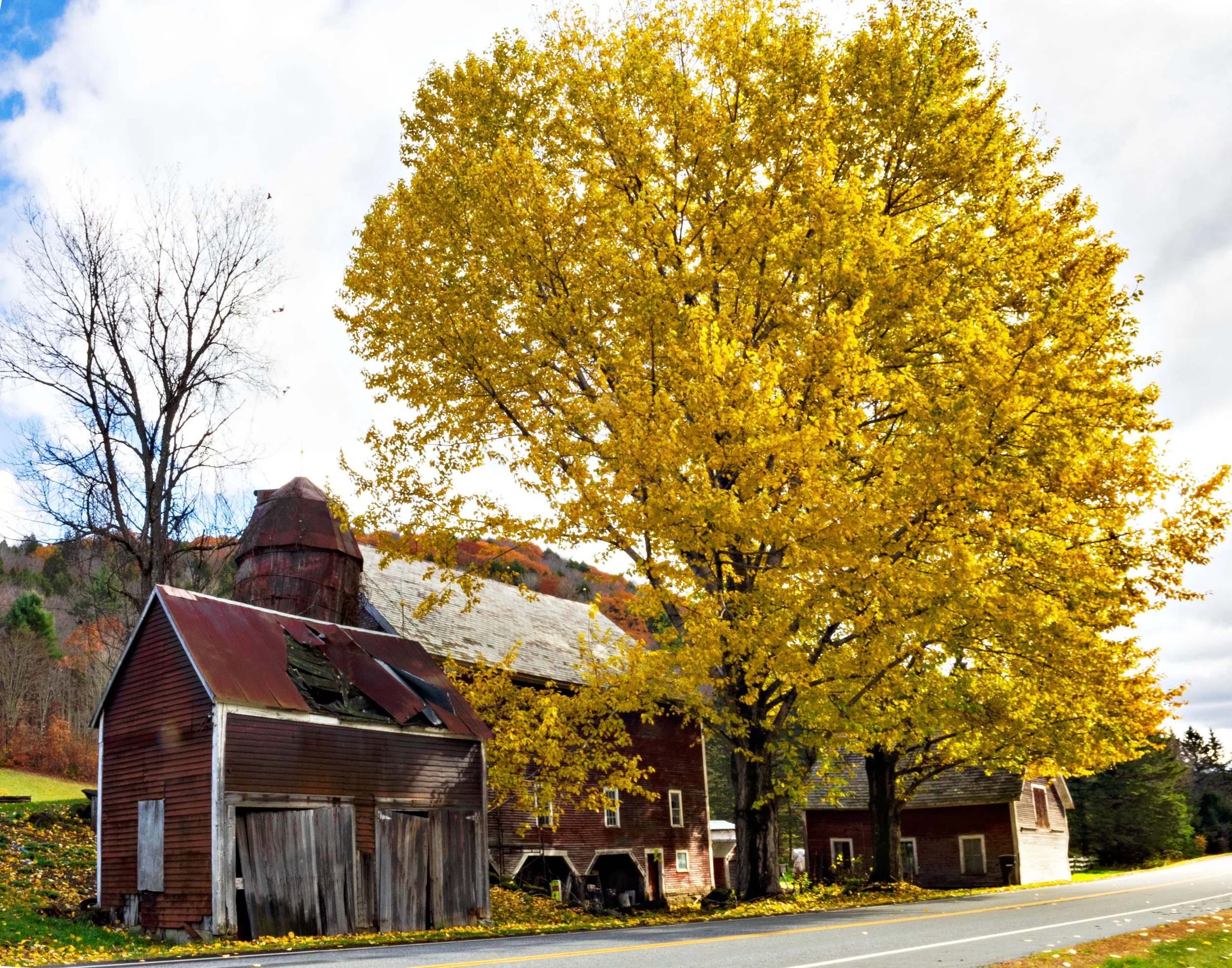 Vermont • Leaves, red barn, yellow tree • Oct 2019